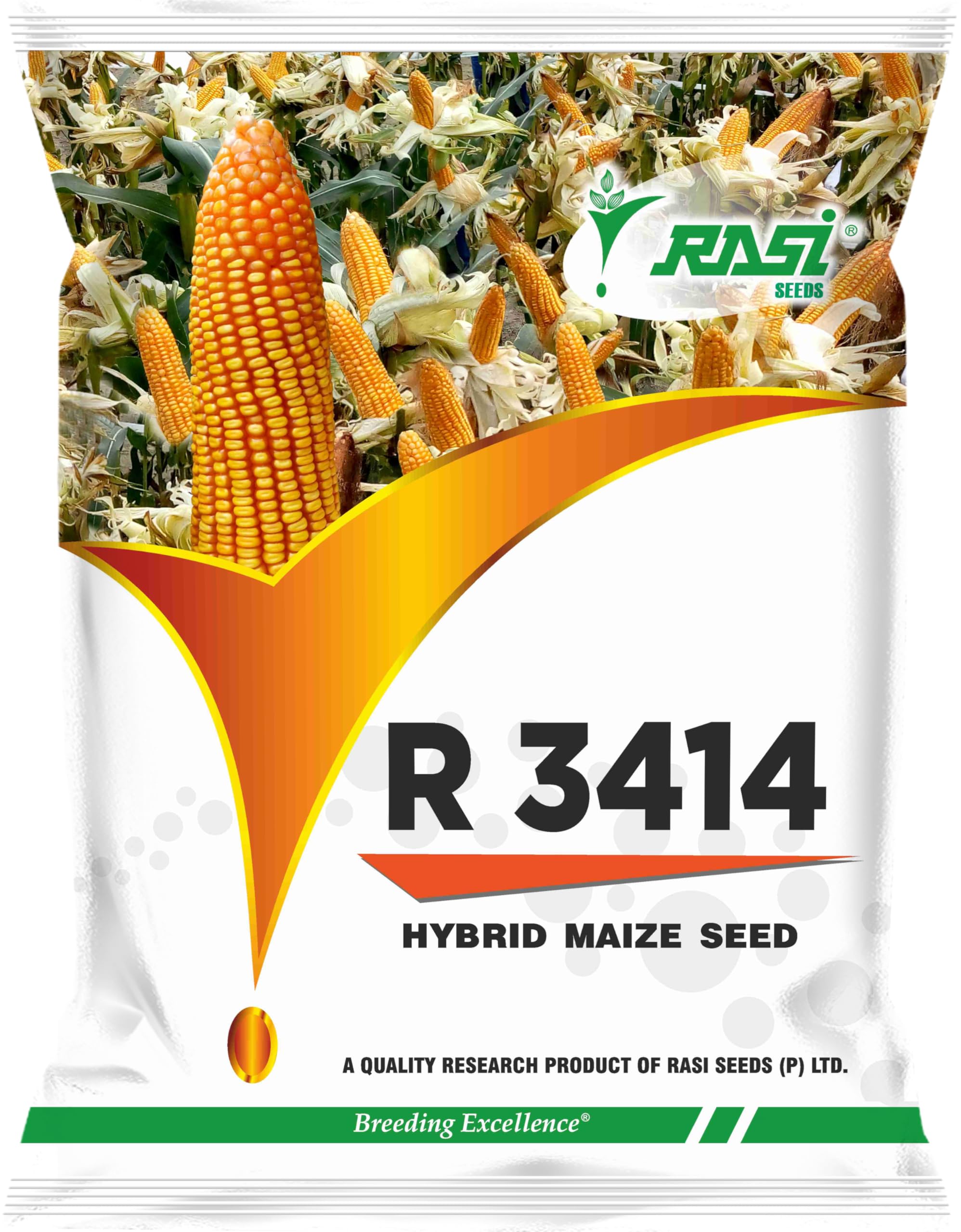 Rasi Seeds R 3414 Hybrid Maize Seeds | Single Cross Hybrid | High