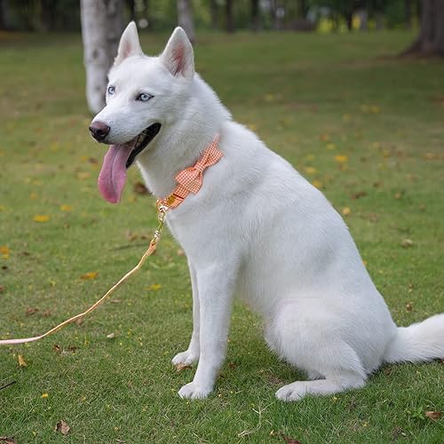 Miniatura 5 de Tunkoo Collar para perro con pajarita, elegante, a cuadros, suave, cómodo, de algodón, ajustable, hebilla de metal de alta calidad, pequeño,