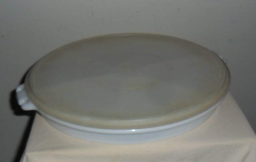 Amazon.com: Tupperware veggie / snack taker - TupperSeal 224