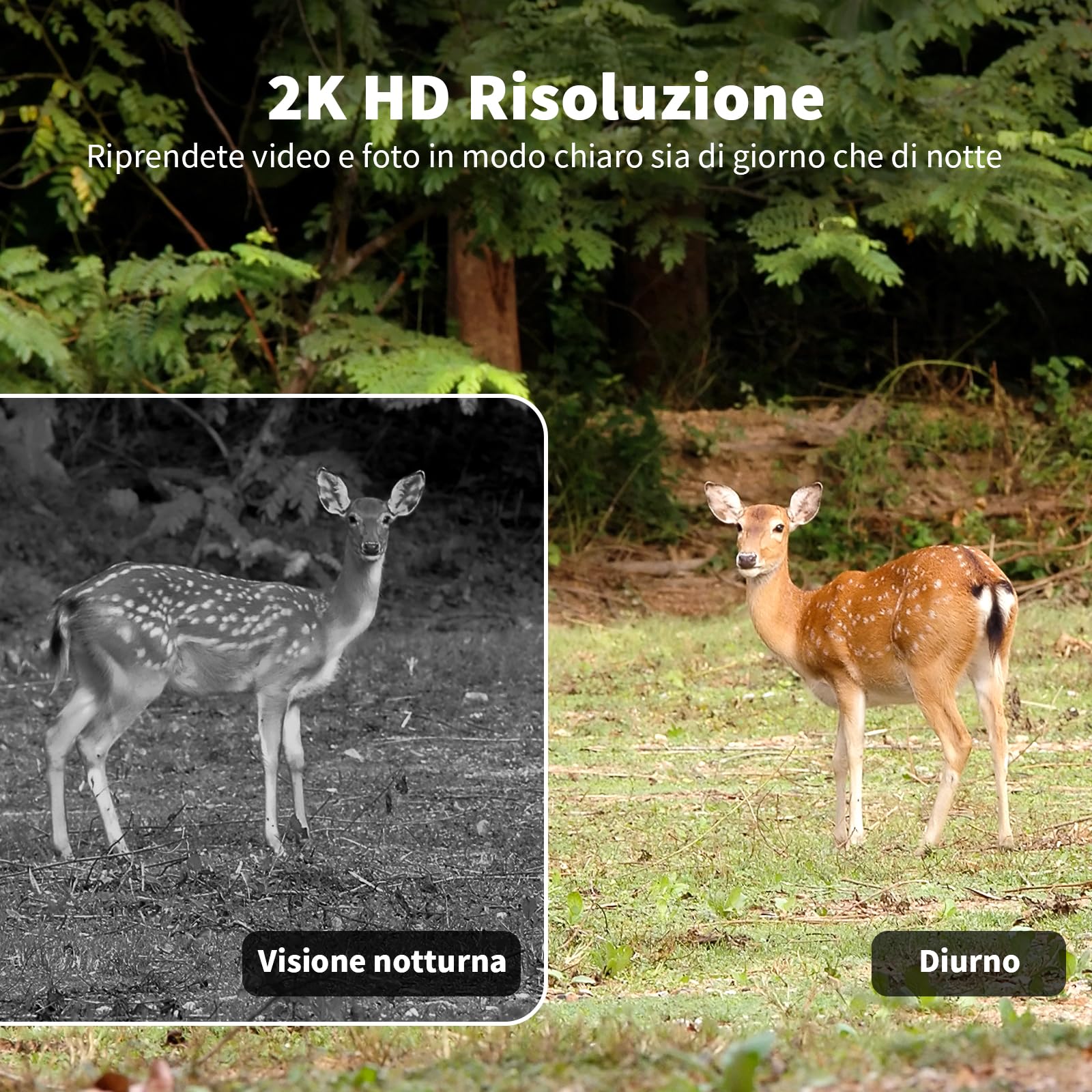 Fototrappola 4G LTE NUASI Con SIM - 2K PTZ, Pannello Solare, Visione Notturna A Colori, Per Caccia E Sicurezza Esterna - Foto 10