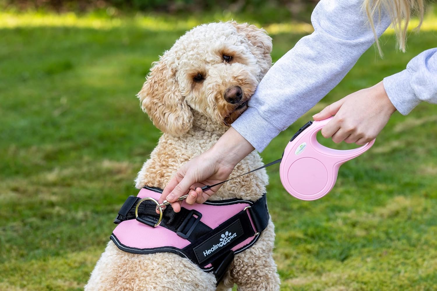 Healing Pawz, Retractable Dog Lead, Black, 5 Metre BigaMart