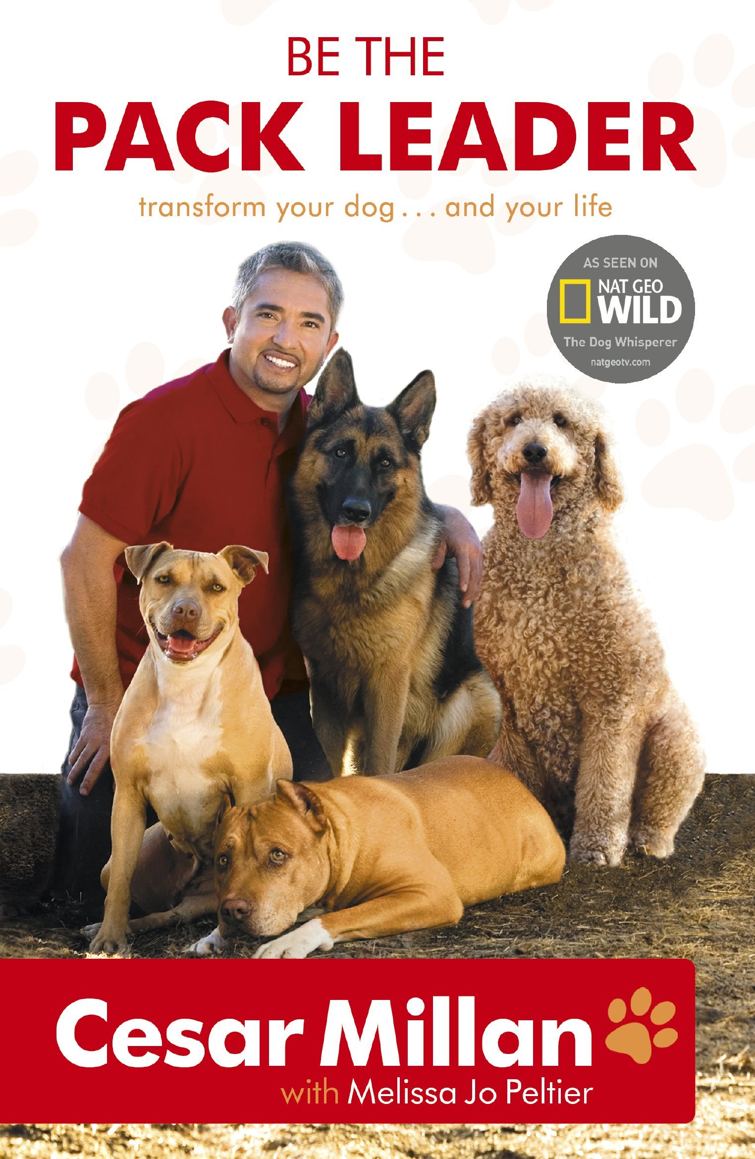 Be the Pack Leader: Use Cesar's Way to Transform Your Dog ... and Your Life by Cesar Millan (9-Jul-2009) Paperback