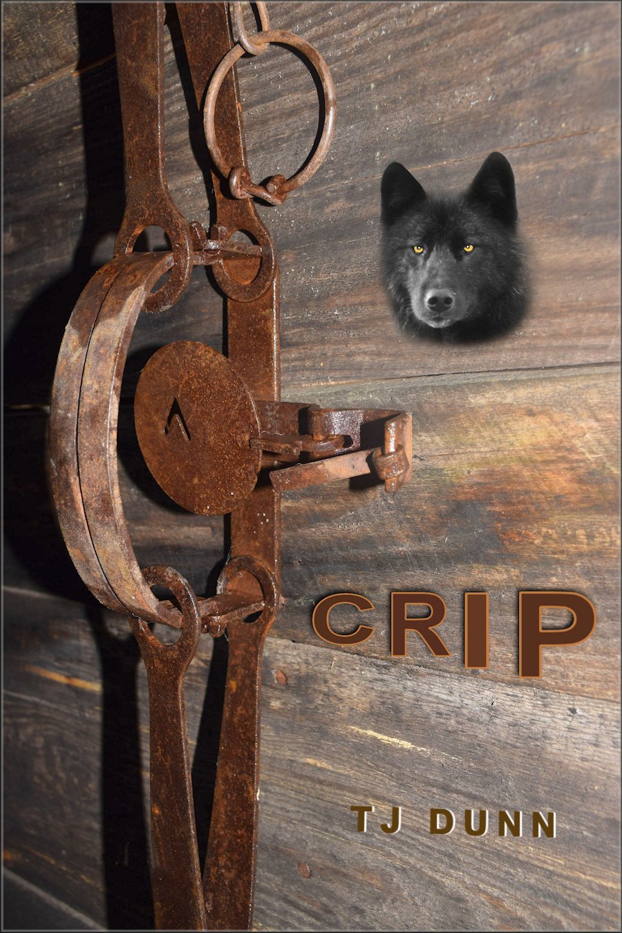 Amazon CRIP (English Edition) [Kindle edition] by Dunn, T. J