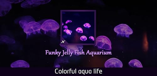 Funky Jelly Fish Aquarium - Colourful Aqua Life