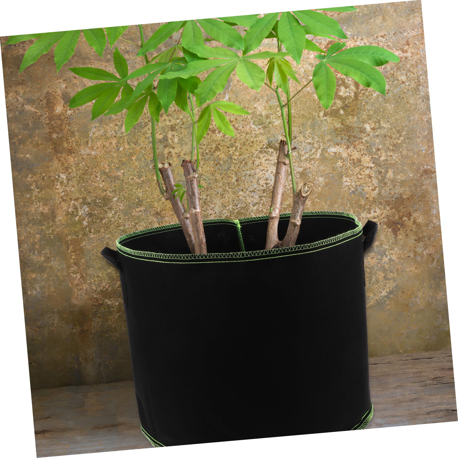 Hemobllo 5pièces Sacs De Culture pour Plantes Sacs De Plantation Tissu Non Tissé Épais pour Pommes De Terre Et Légumes