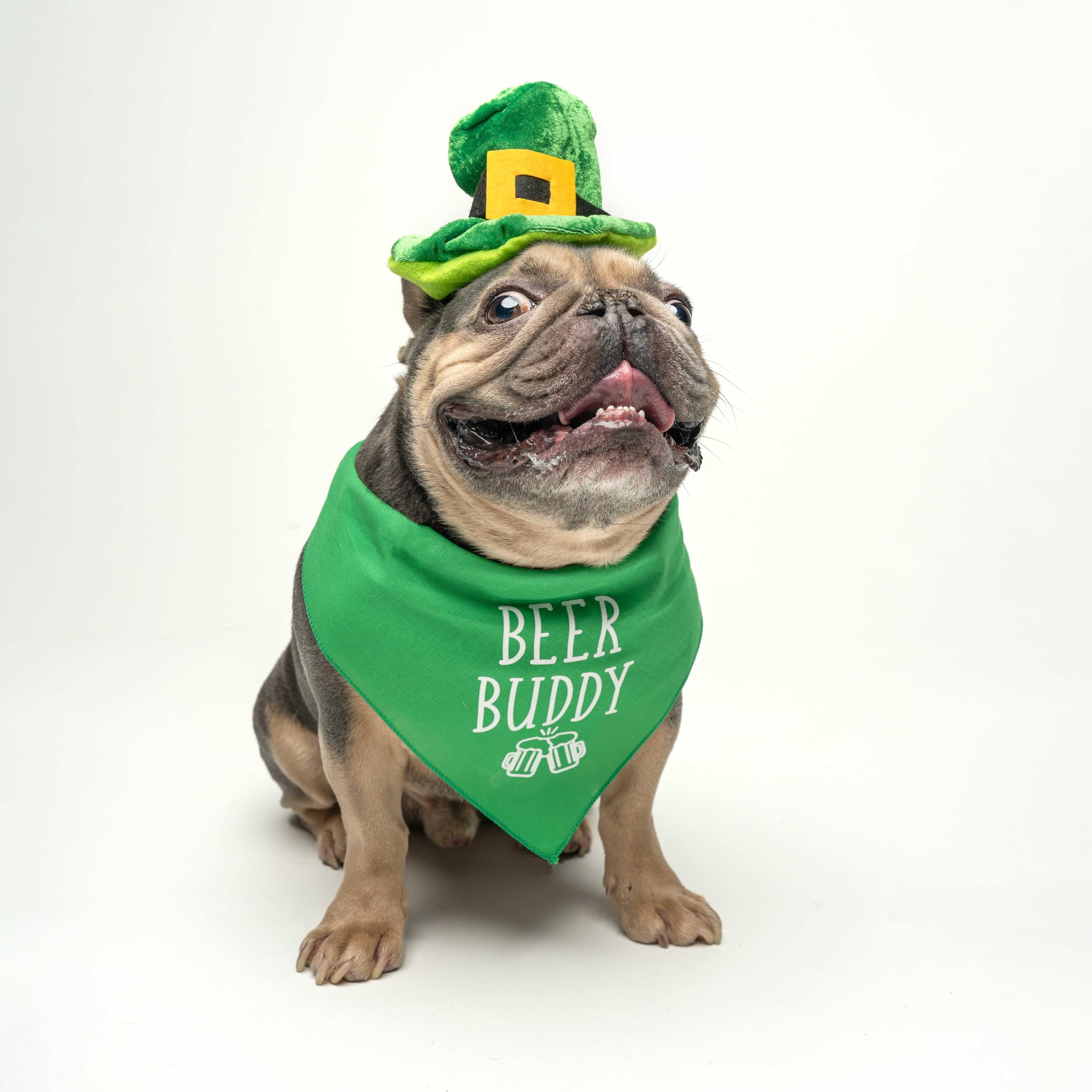 Beer Buddy - Bandana stampata per cani (colori assortiti)