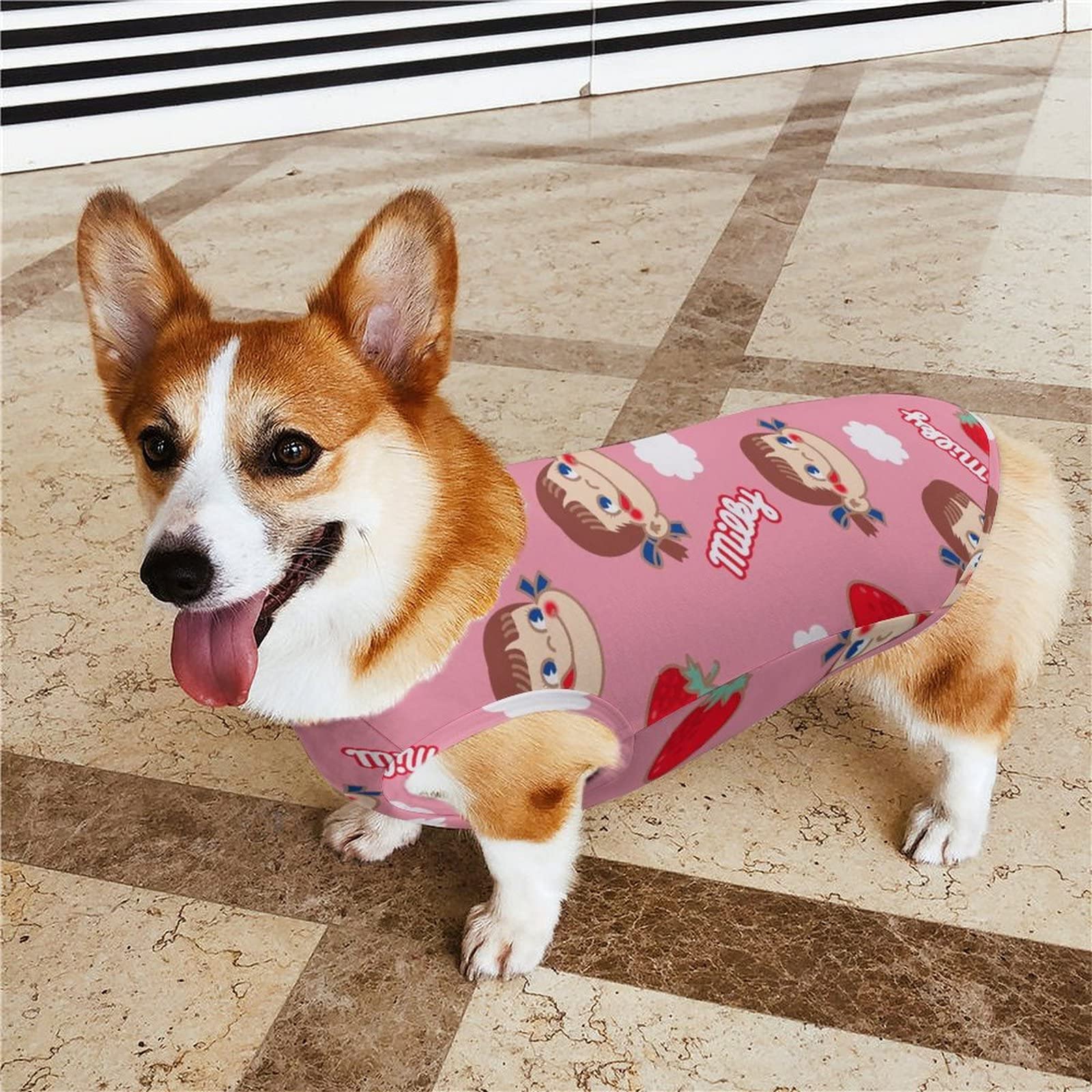 Amazon | ペコちゃん 犬服 Tシャツ 春夏秋 小中型犬 ひんやり ペット