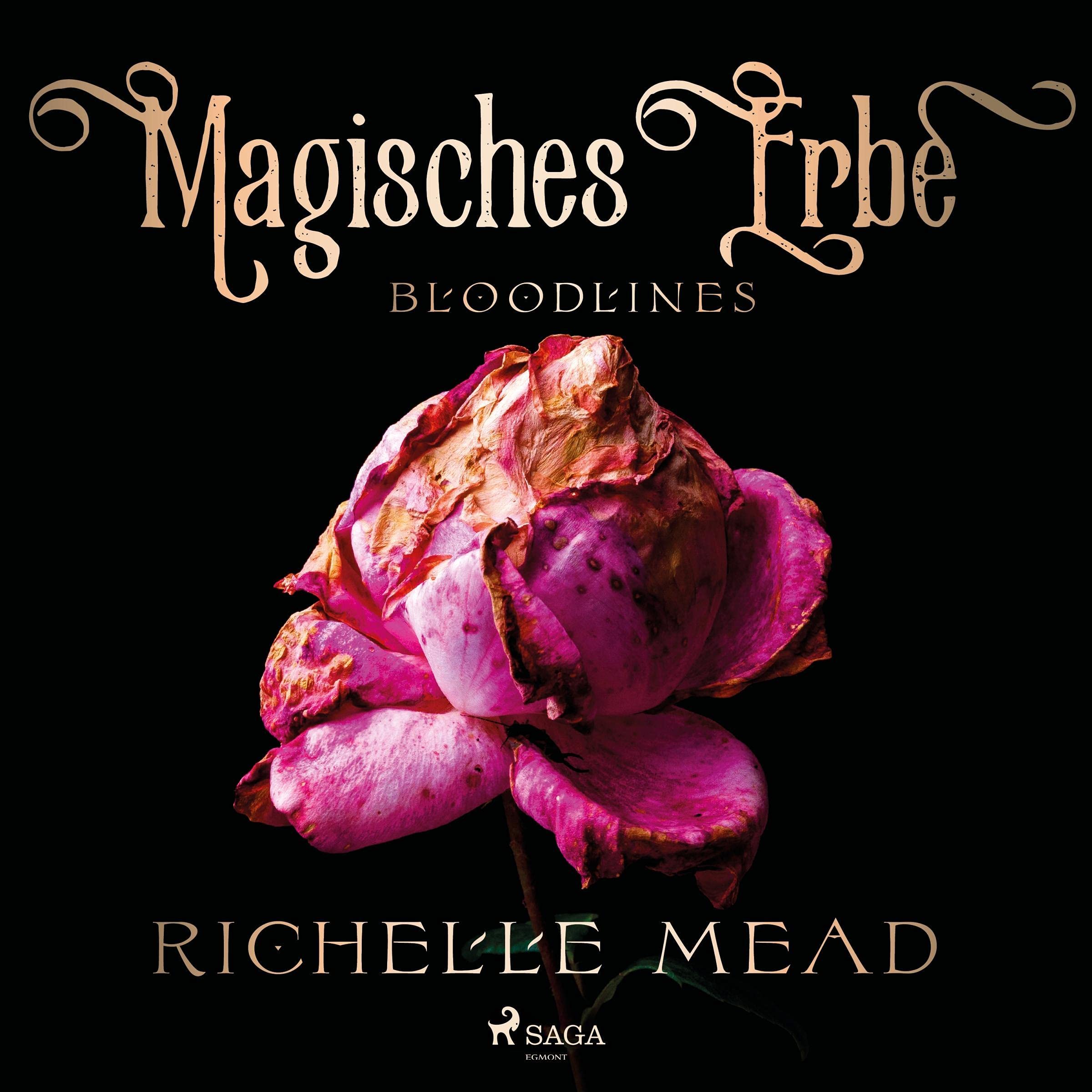 Cover art for Magisches Erbe