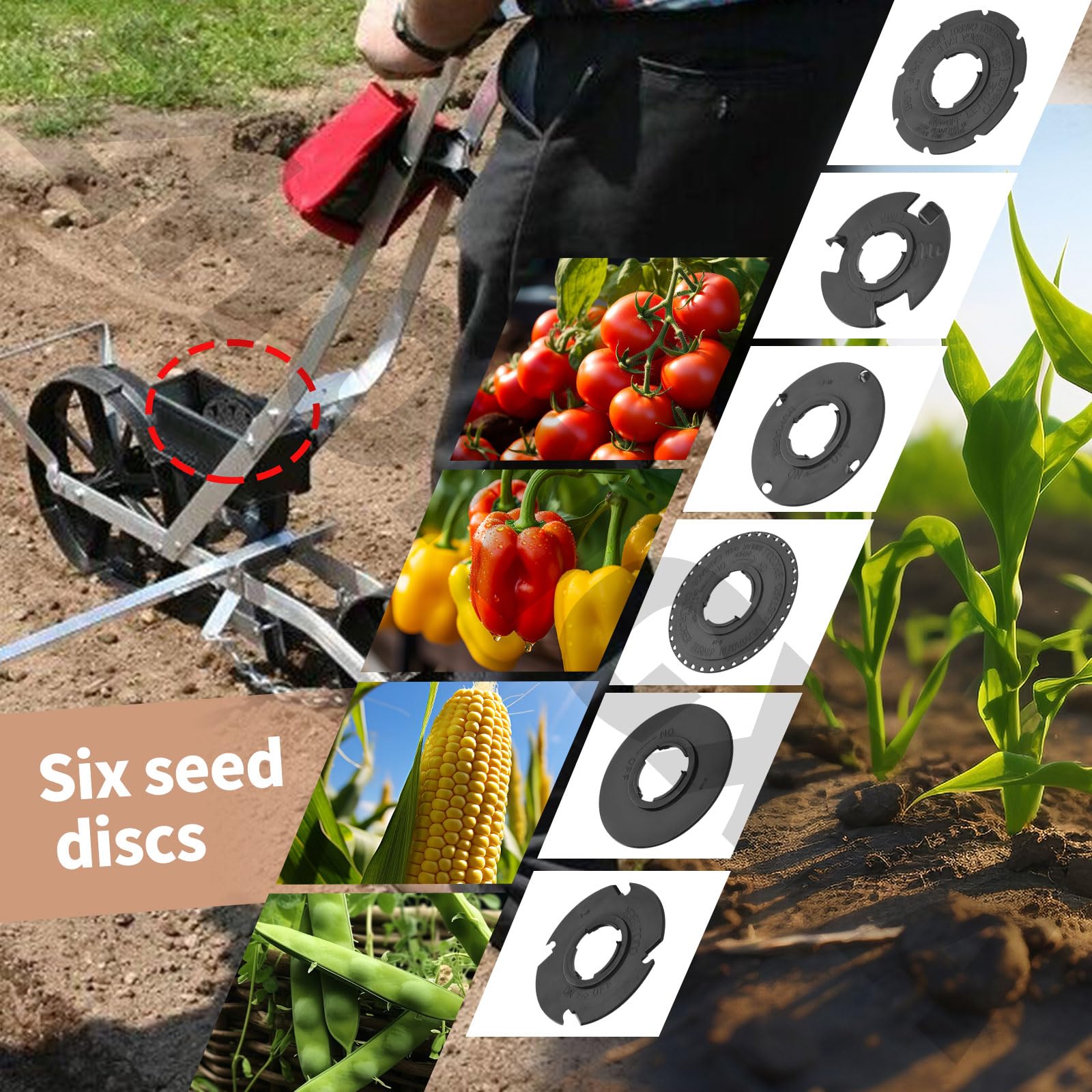 Amazon.com : 12 Set Standard 60010 60009 Optional Seed Plate set