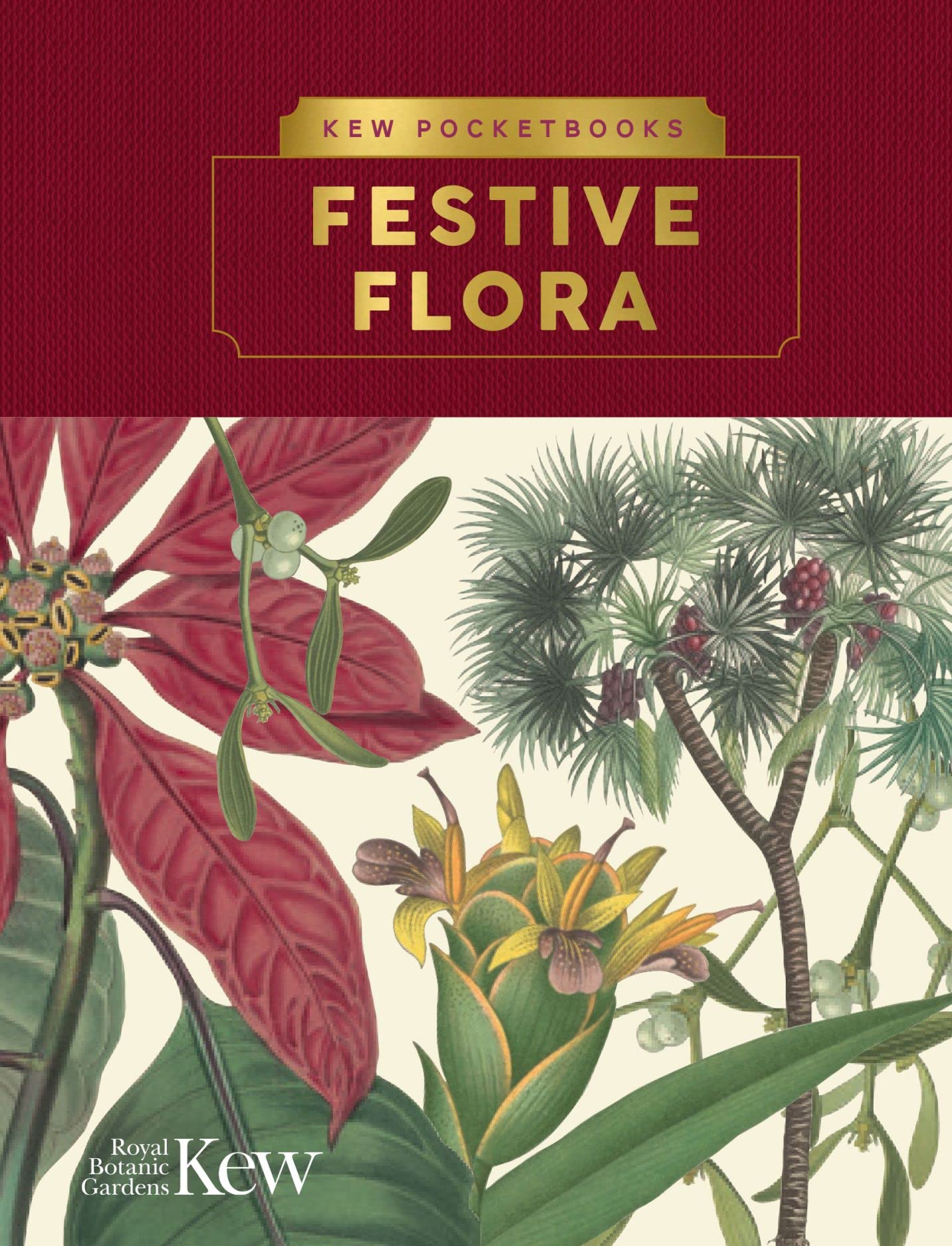 Kew Pocketbooks: Festive Flora. Gardens, Kew 9781842467251 Fast Free Shipping**