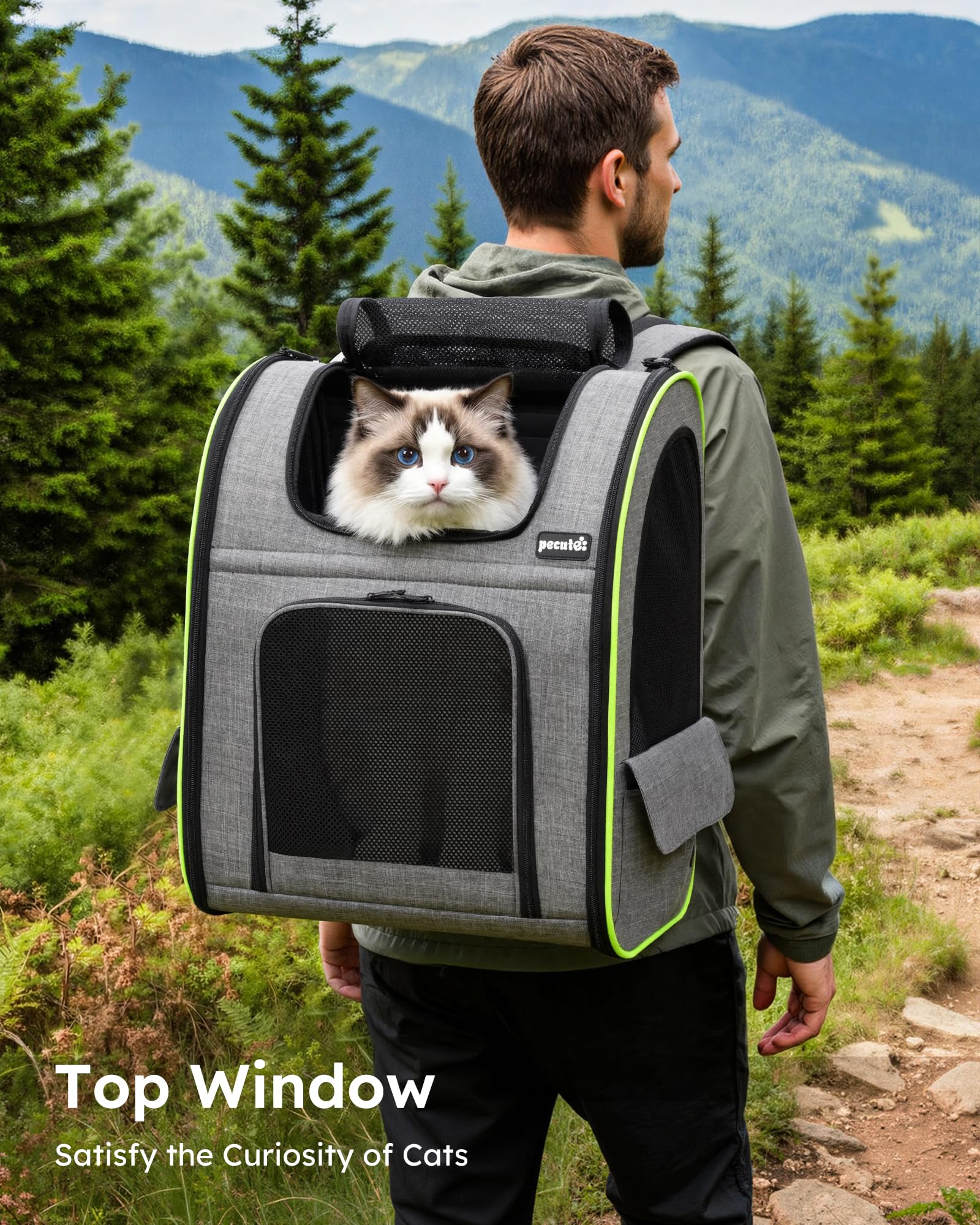 https://m.media-amazon.com/images/I/81xH2sMktAL.jpg
