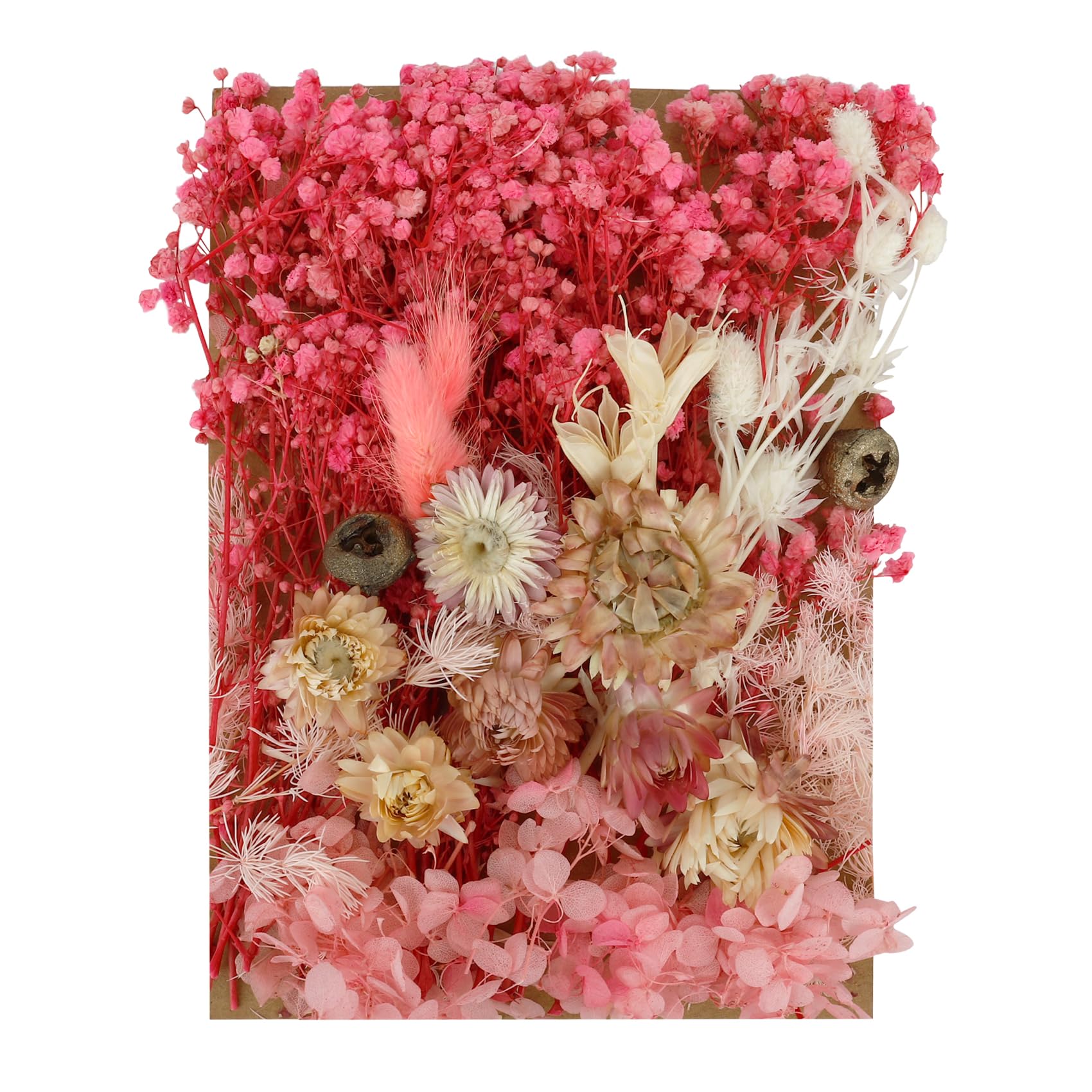 Dried Flowers For Crafts,White Dried Flowers,Pink Dried Flowers,Dried Pressed Flowers For Crafts,Mixed Diy Set For Arts & Crafts, Resin, Scrapbooking, Card Maki, Bookmarks