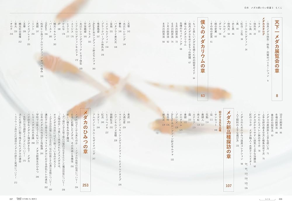 medakaプロフ必読　3月プチ引越予定様 リクエスト 2点 まとめ商品 medakaプロフ必読 3月プチ引越予定様 リクエスト 2点 まとめ商品