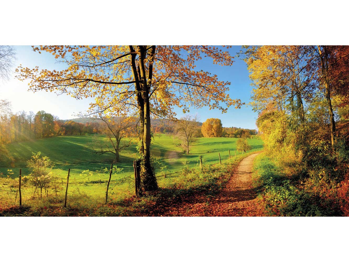 Tableau Carton plume et Pegasus Chemin forêt automne | tableau pour mur | carton plume mural décoratif | | Kappa | plusieurs tailles | Décoration comedores, sallon, chambre. 100x49cm