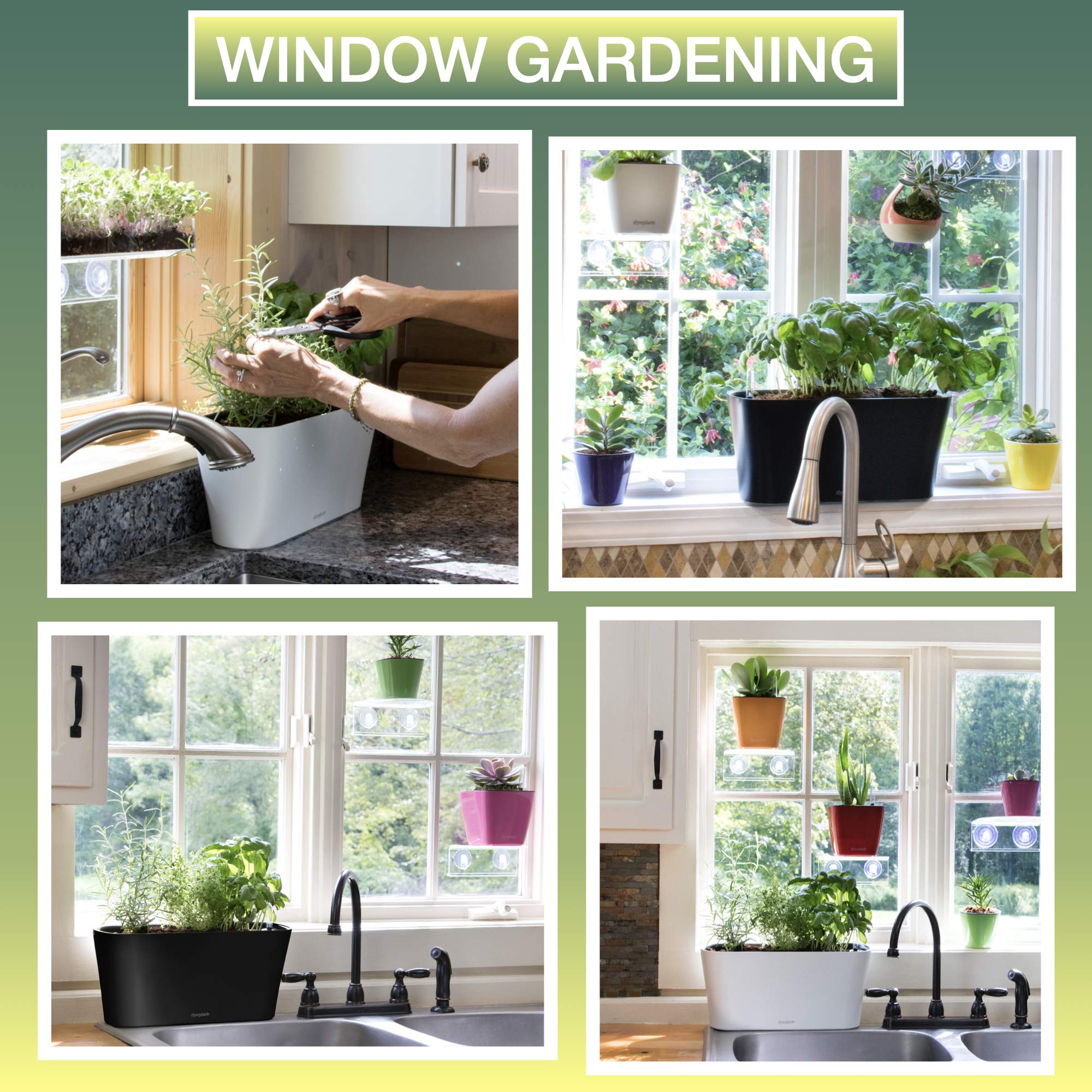 Window Garden Aquaphoric Herb Garden Tub Self Watering Planter Box