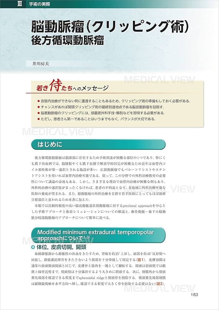 脳卒中の外科　エキスパートを目指す侍たちへ／井川房夫(著者),黒田敏(著者),清水宏明(著者),冨永悌二(監修) 脳卒中の外科−エキスパートを目指す侍たちへ | 冨永 悌二, 井川