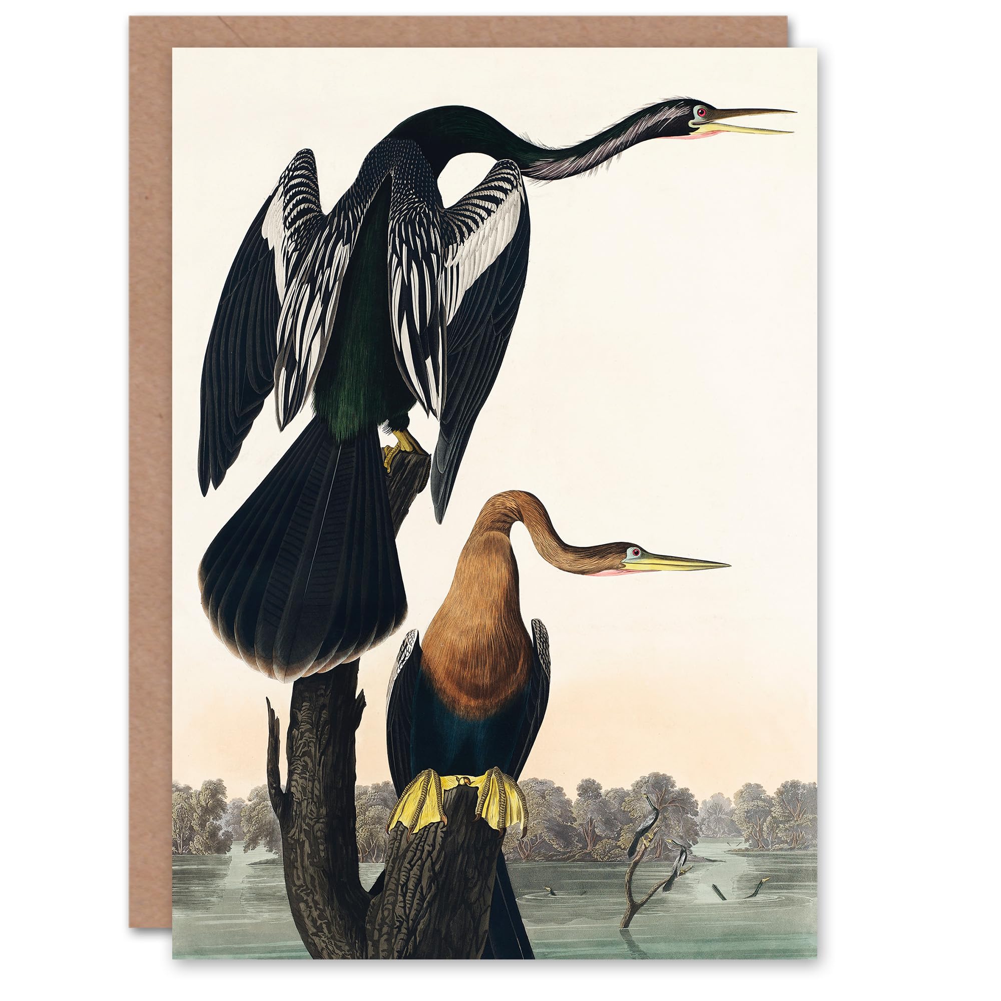 Artery8 John James Audubon Art Card Black Bellied Darter Bird