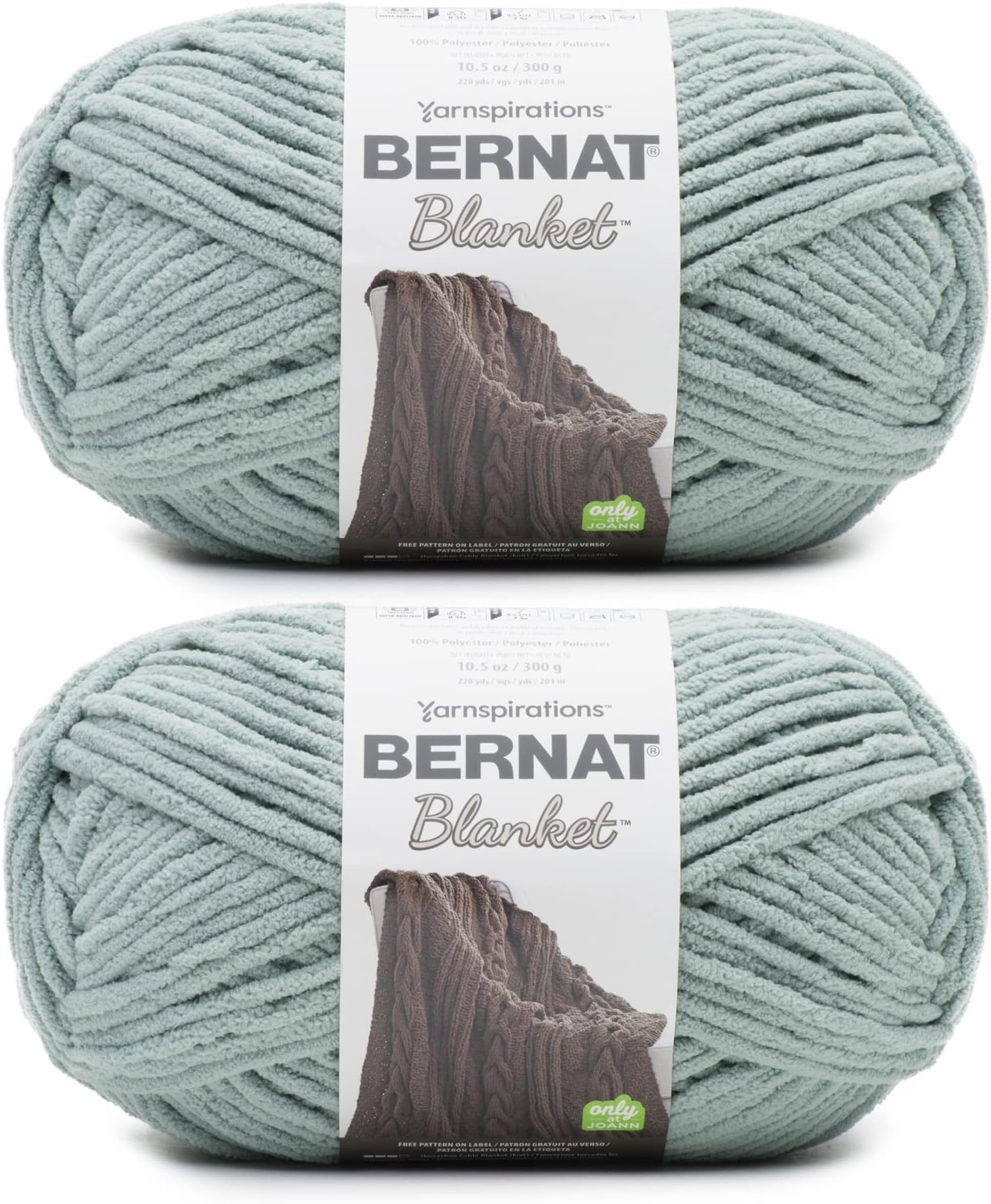 Bernat Blanket Smoky Green Yarn - 2 Pack of 300g/10.5oz - Polyester - 6 Super Bulky - 220 Yards - Knitting/Crochet