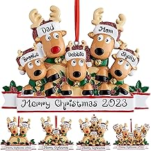 Personalized Christmas Ornament,2023 Family of 2,3,4,5,6,7,8 Reindeer Custom Christmas Tree Ornament,Customized Name Christmas Ornaments,Xmas Ornaments for Christmas Tree