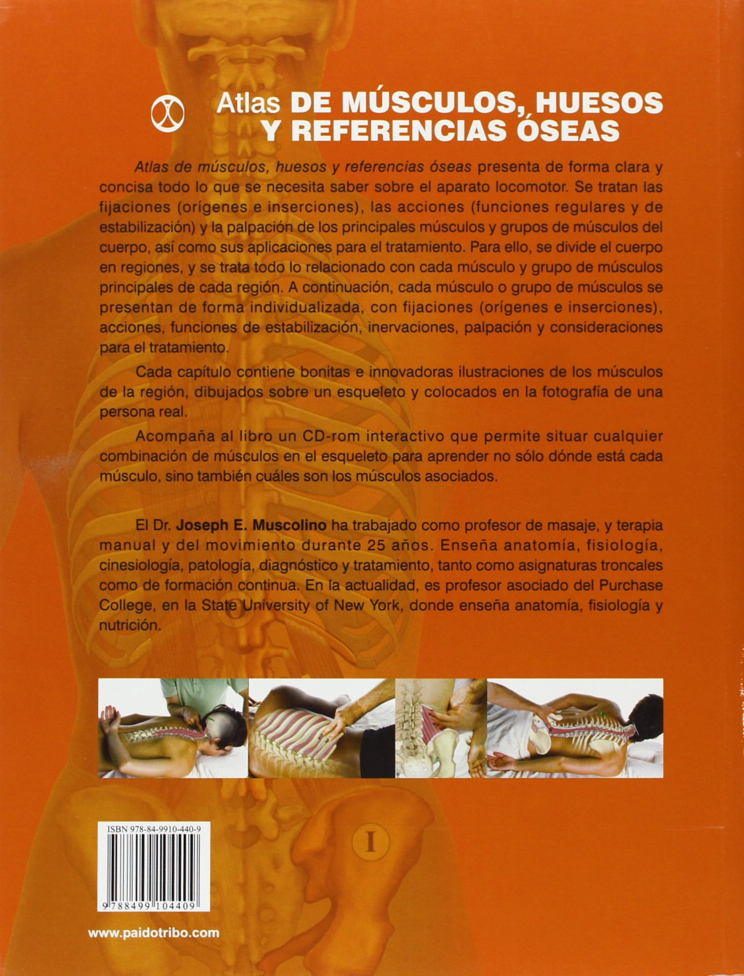 Atlas de músculos, huesos y referencias óseas (Medicina)