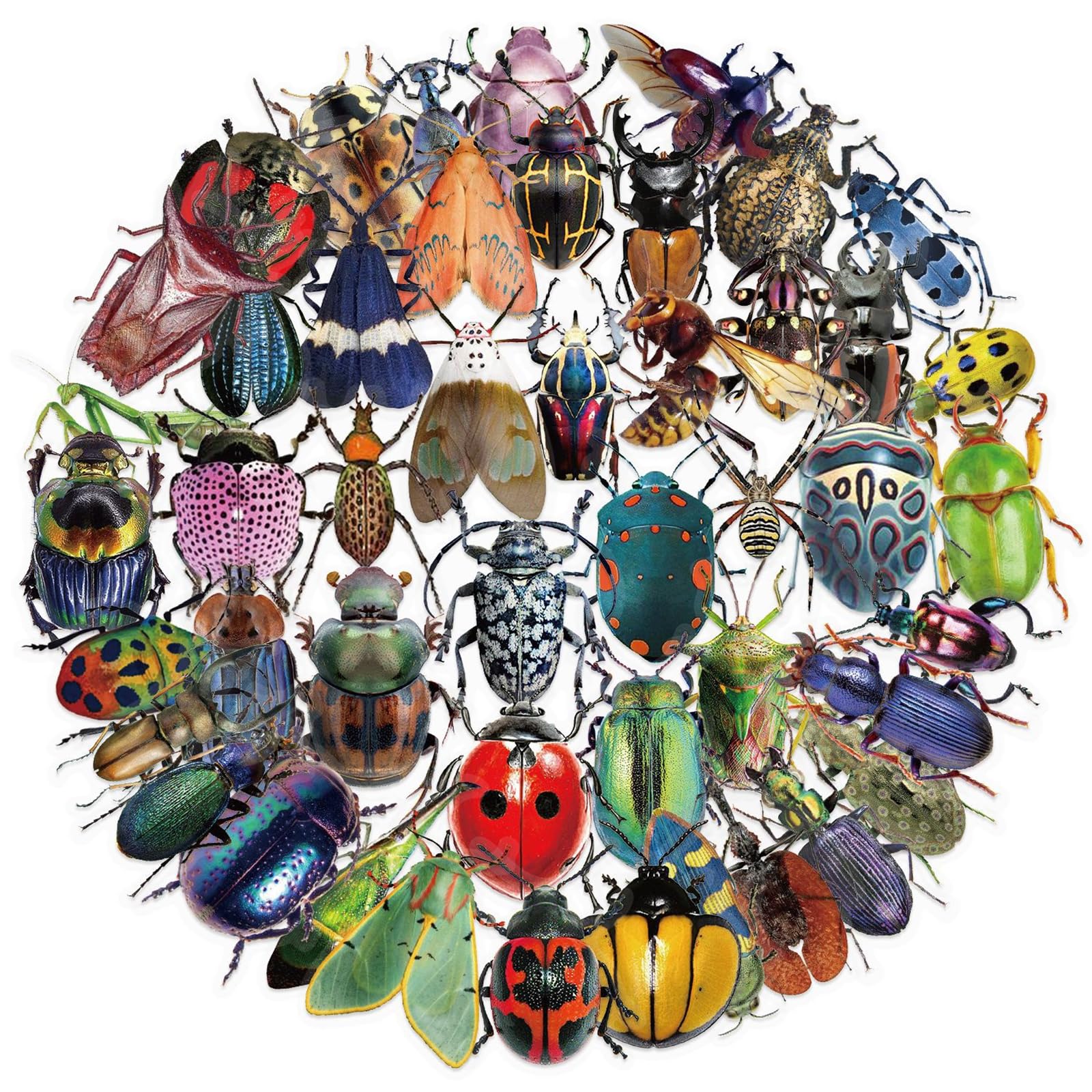 Photo 1 of 50pcs Transparent Vintage Insect Stickers for Kids,Lifelike Insect Sticker Waterproof PET Stickers for Scrapbook Journaling Photo Album Collage Card Nature Sticker for Teens and Adults
