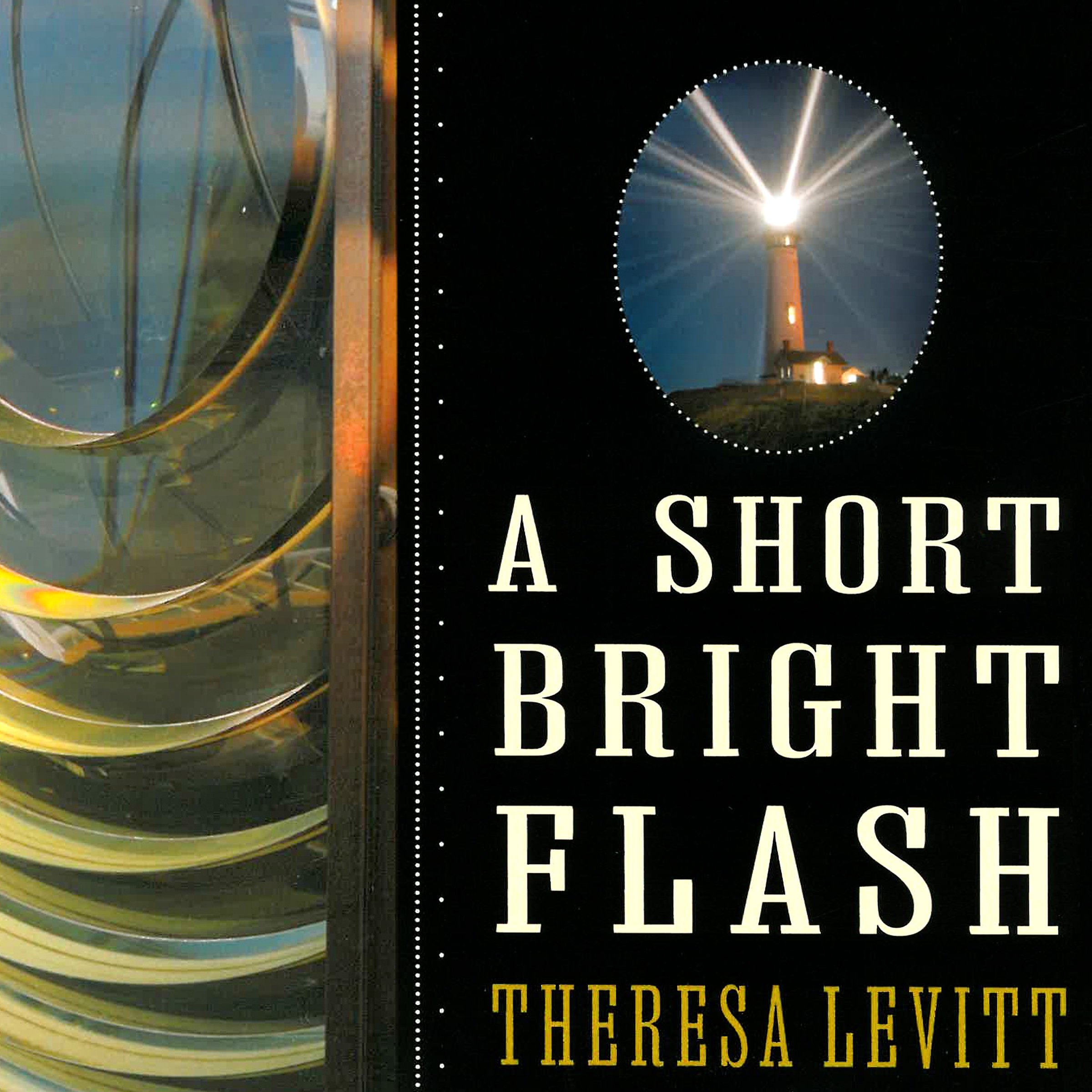 Cover art for A Short Bright Flash