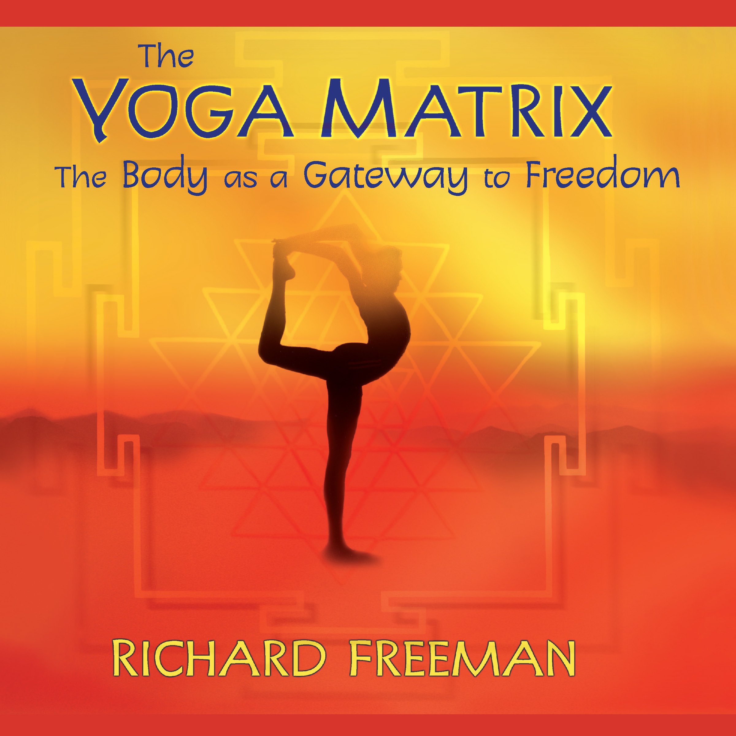 Cover art for The Yoga Matrix