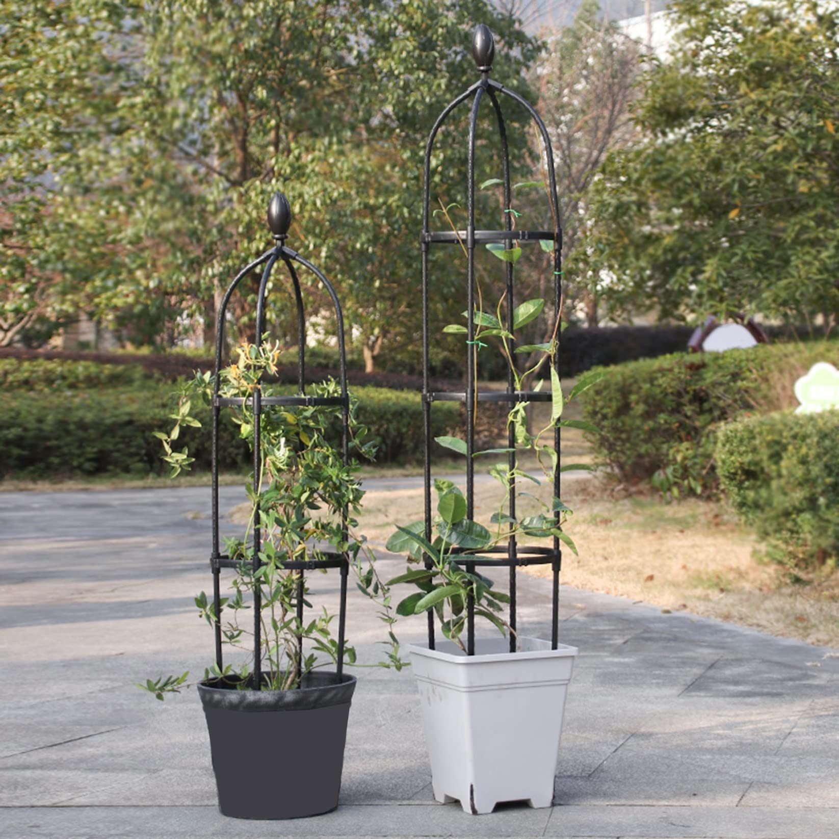 Obélisque Arceau Arche de Jardin,Tuteur Tomates Pieu de Jardin Tuteurs pour Plantes Support tuteur métal Colonne rosiers aux intempéries pour Support de Fleurs,de Légumes,Plantes,Jardinage et verger