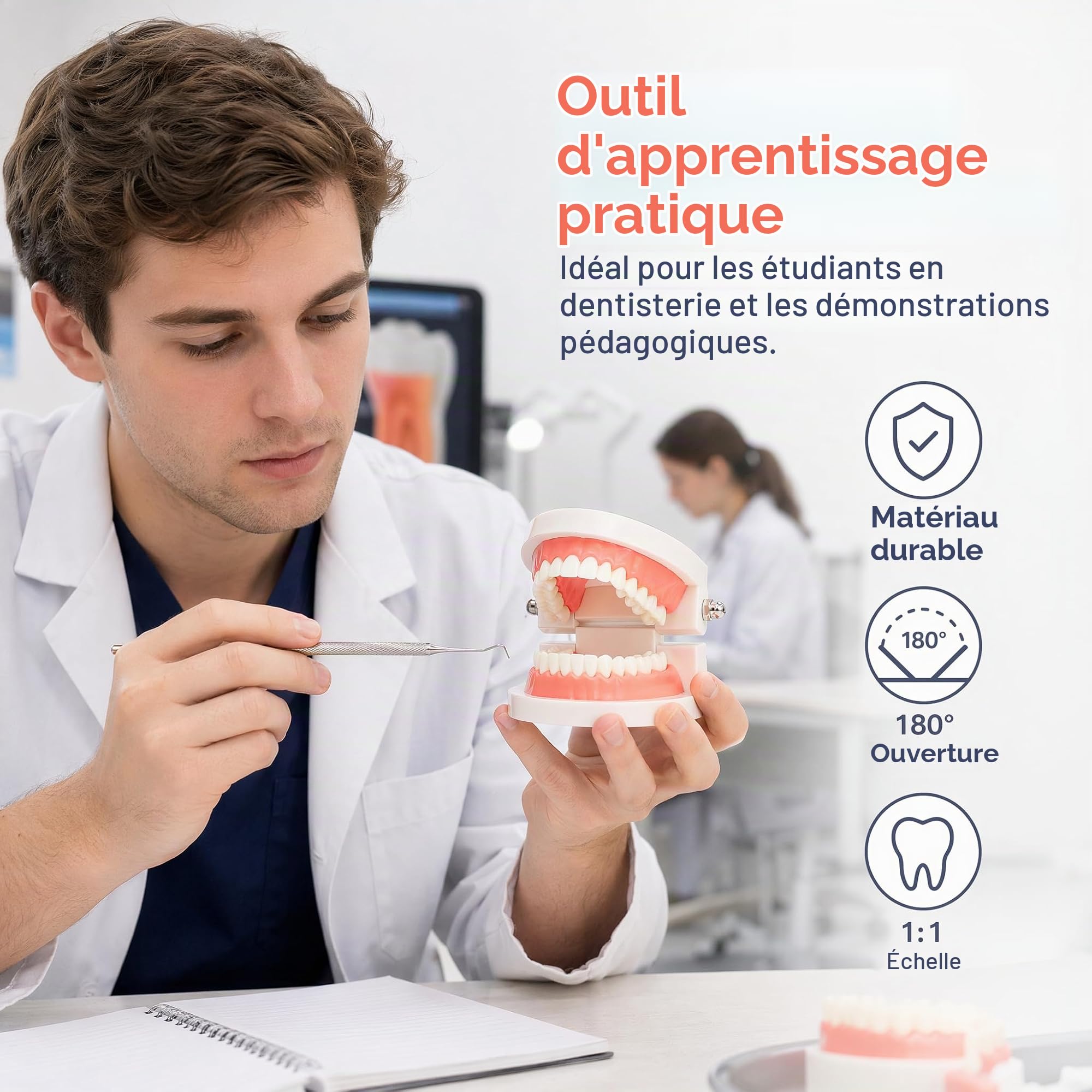 ZENFUN Lot de 6 modèles dentaires de démonstration dentaire pour étudiants, modèle de dents standard, bouche artificielle pour l'enseignement, dentiste, étudiant dentaire, affichage propre