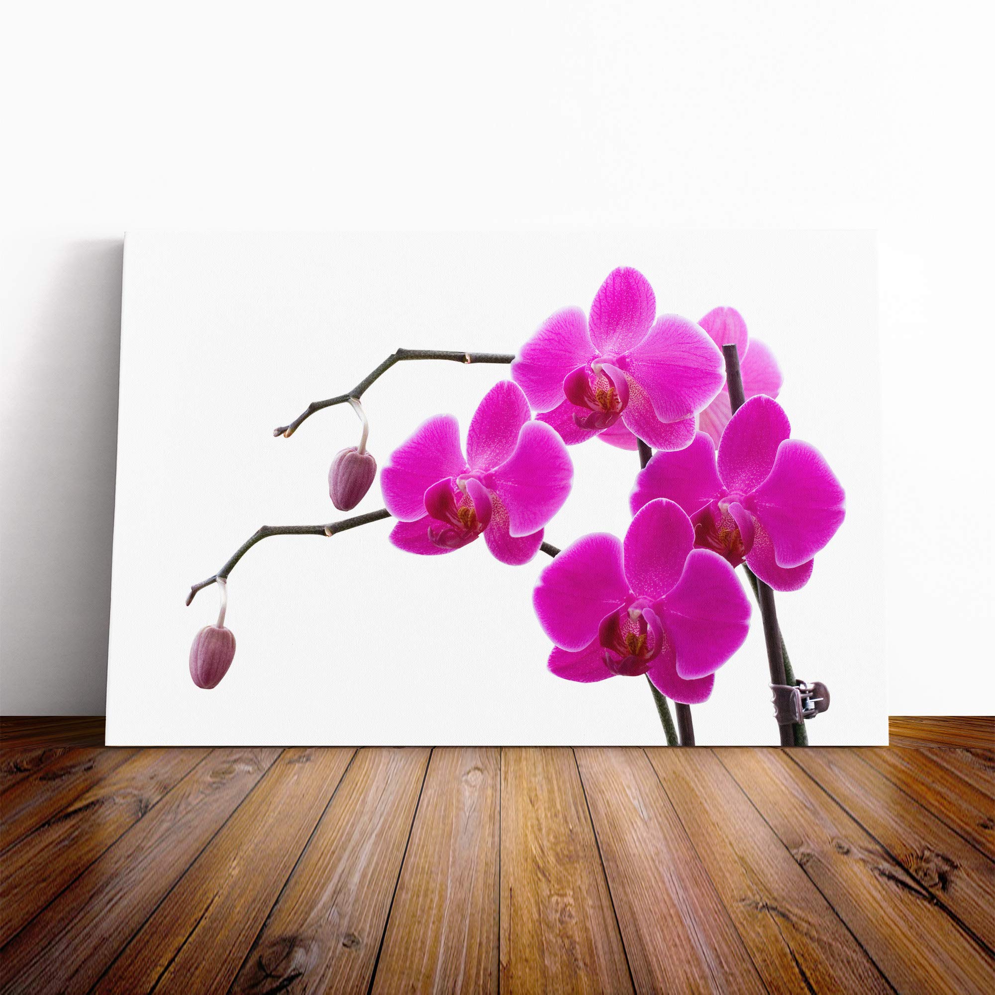 Flower Pink Orchid (4) Canvas Print | Gallery Wrapped 30mm Frame Wall Art | 30x20 inches | Ready to Hang | Modern Floral Picture | Living Room Bedroom Lounge Office