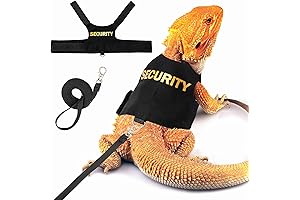 Escape-Proof Baby Bearded Dragon Leash Set for Worry-Free Outdoor Bonding