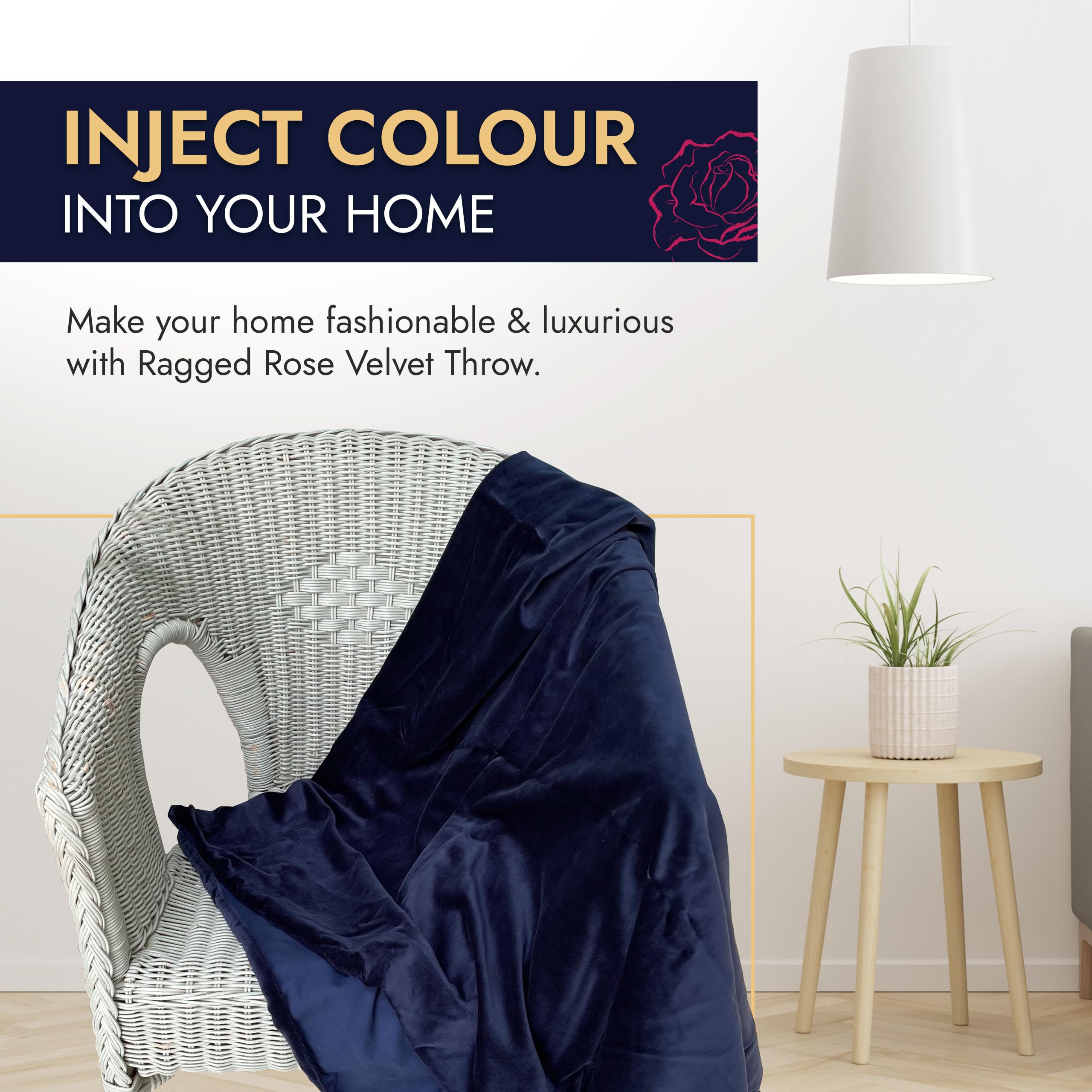 Ragged Rose 140 cm x 180 cm Throw Blanket, Pom Pom Throw Made of Cotton Velvet with Pompom Trims on Sides - Image 2
