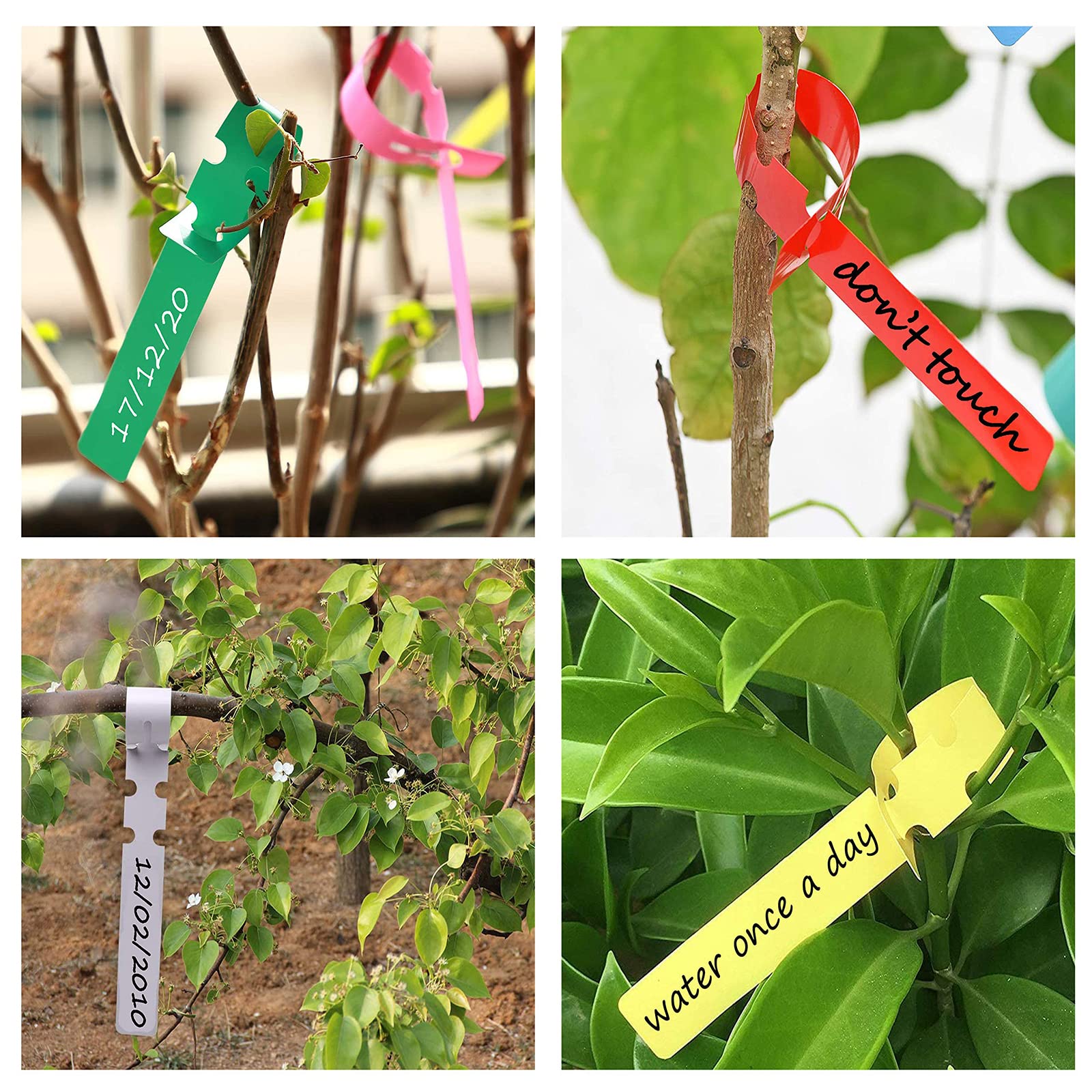 200 Pcs Étiquettes De Plantes Pvc Étiquette De Nom À Suspendre