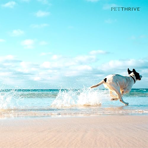 Miniatura 6 de Suplemento de apoyo para cadera y articulaciones para perros masticables suaves con resveratrol, glucosamina, condroitina, ácido hialurónico, sabor