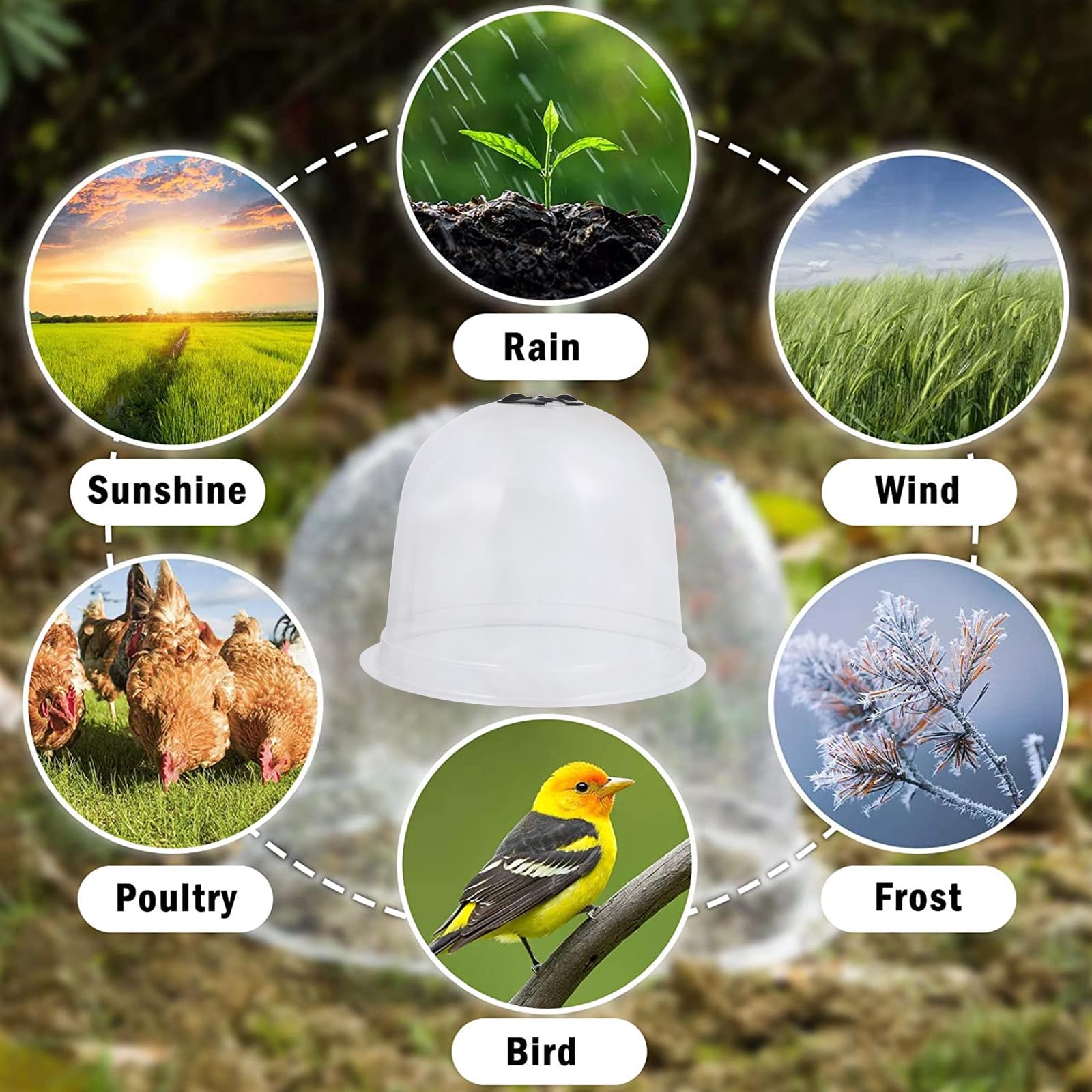 6 pièces Lot Cloches de Protection pour Semis avec Piquets de Fixation Sol et Étiquettes Housse Plastique Respirante pour Plantes Protection Gel et Froid Couleur Aléatoire
