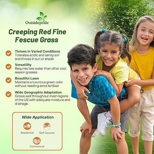 Miniatura 3 de Outsidepride Semillas de hierba de festuca roja rastrera  5 libras de temporada fresca, textura suave, auto-reparables semillas de hierba de festuca