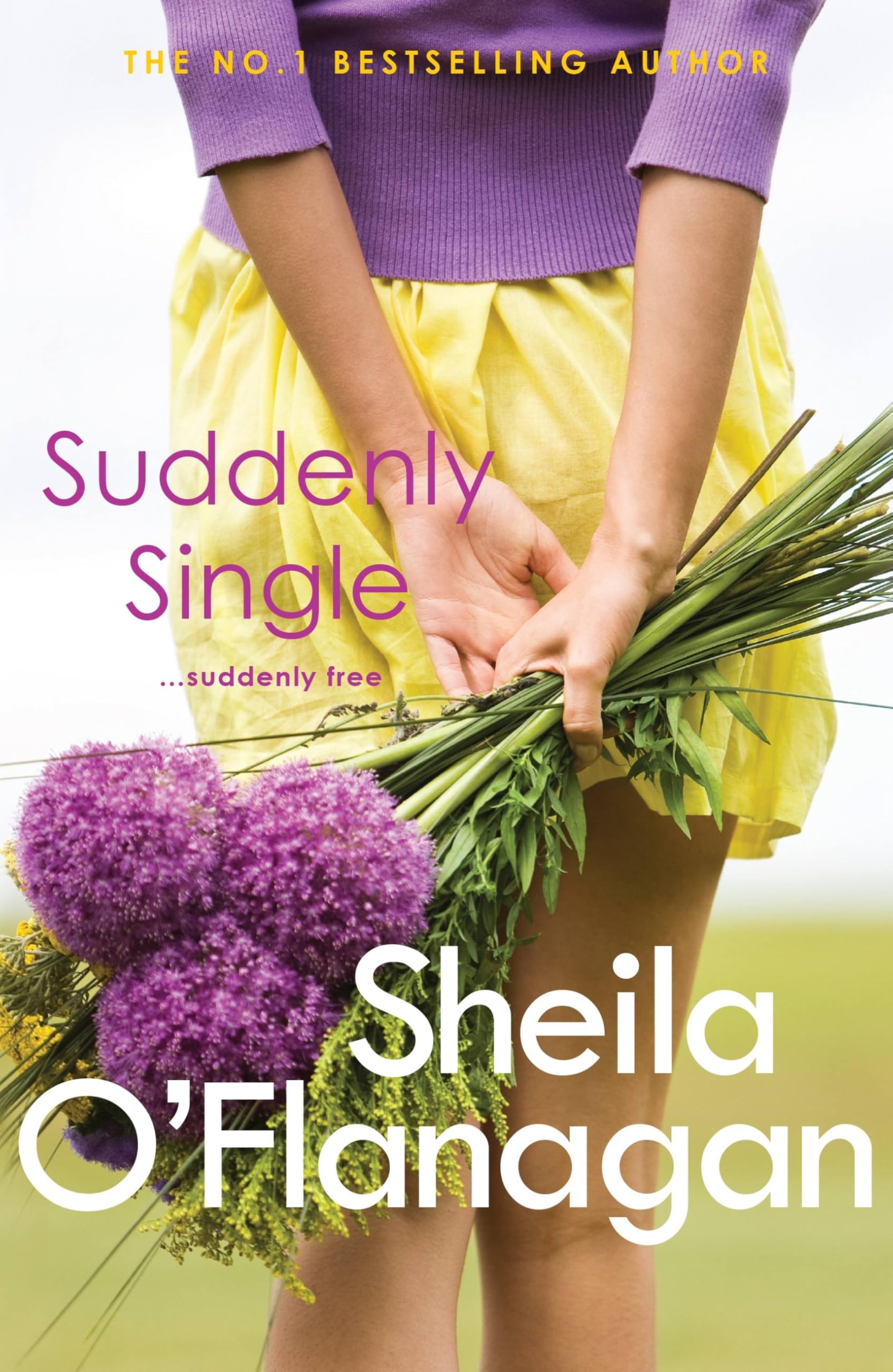 Suddenly Single-Sheila O'Flanagan, 9780755329953