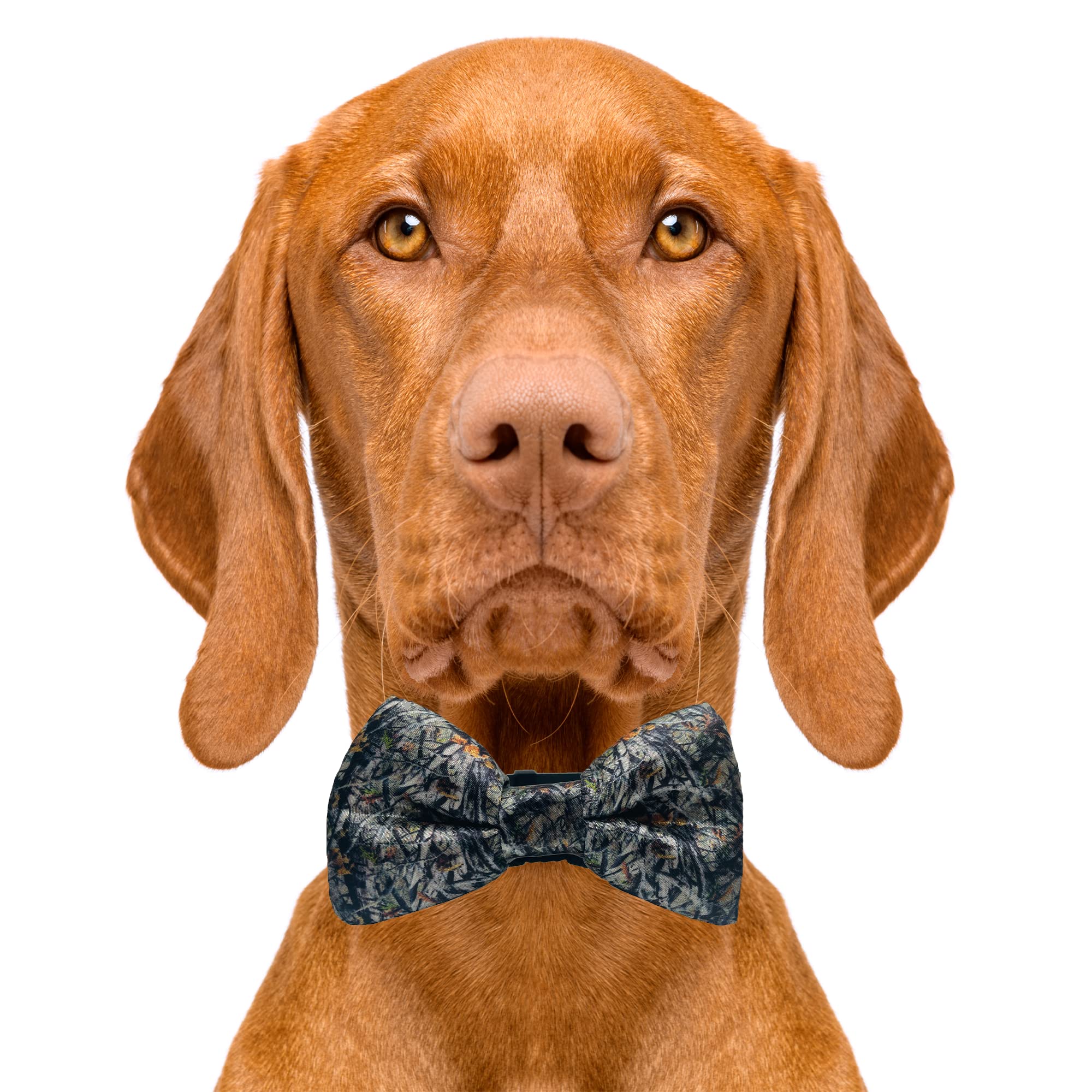 Cutie Ties Dog Bow Tie Hunting-2