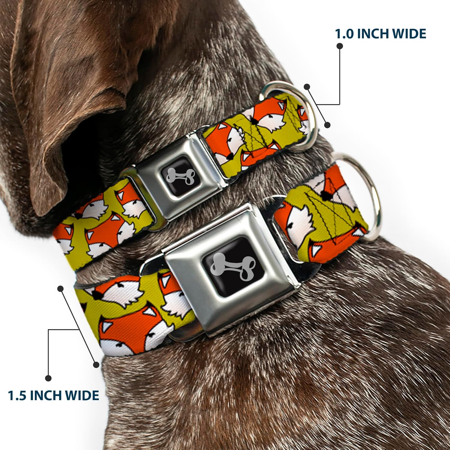 Dog Collar Seatbelt Buckle Fox Face Scattered Warm Olive2 15 to 26 Inches 1.0 Inch Wide