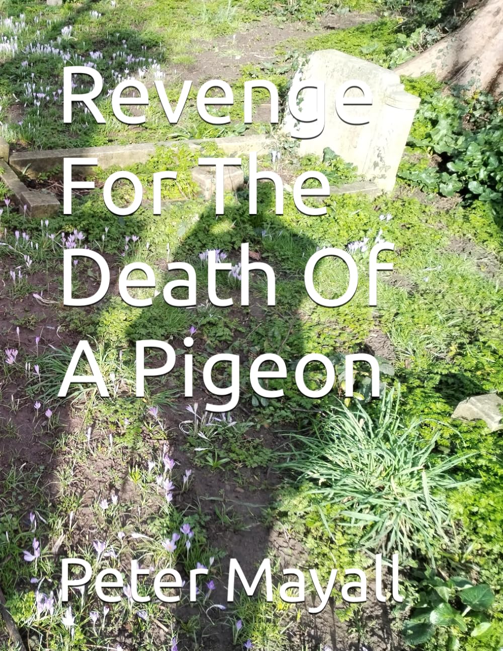 Revenge For The Death Of A Pigeon