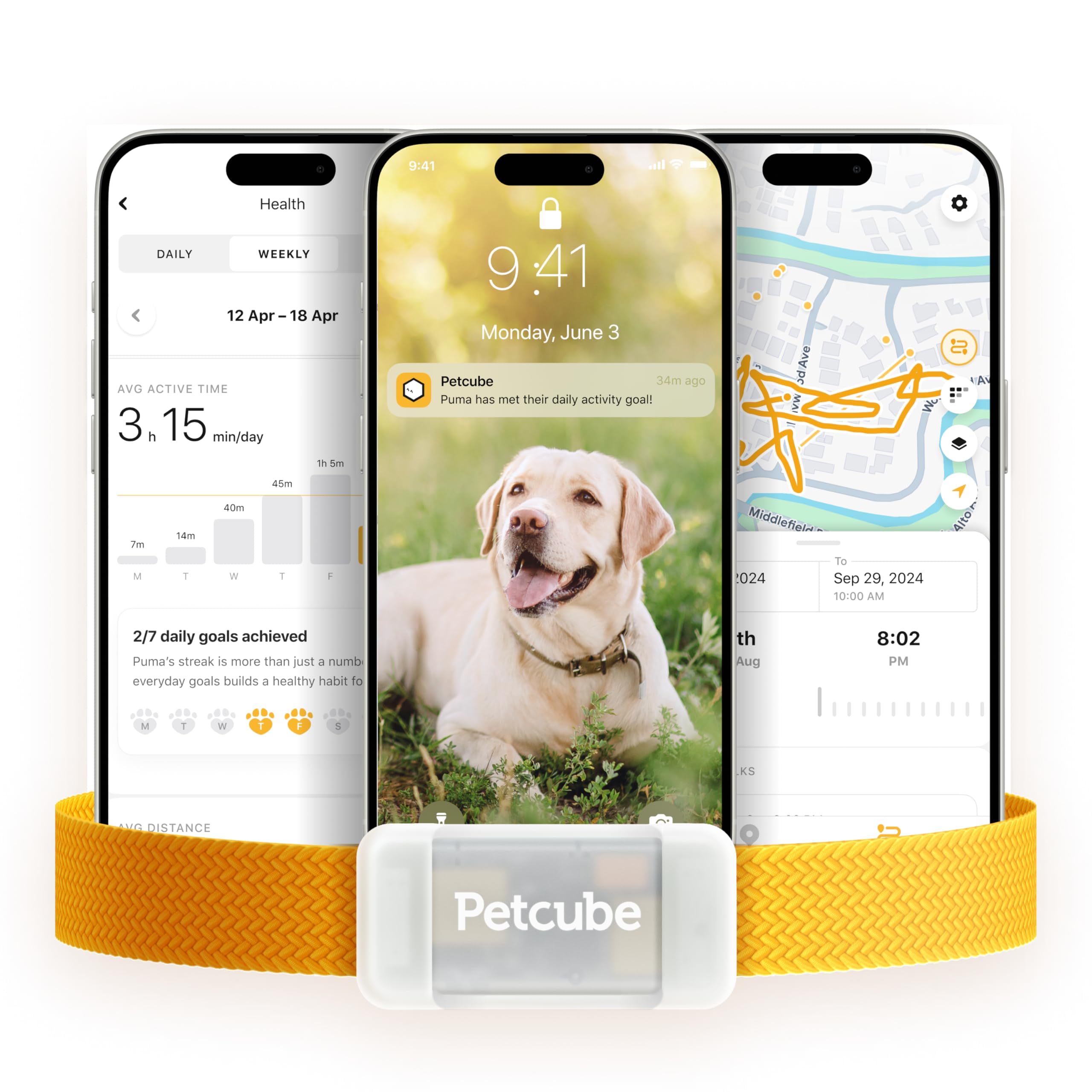 Petcube GPS Tracker for Dogs | Pet GPS Location Tracker with Escape Alerts and Virtual Fences, Activity and Wellness Monitoring, Glows in a Dark, Water and Dust Proof
