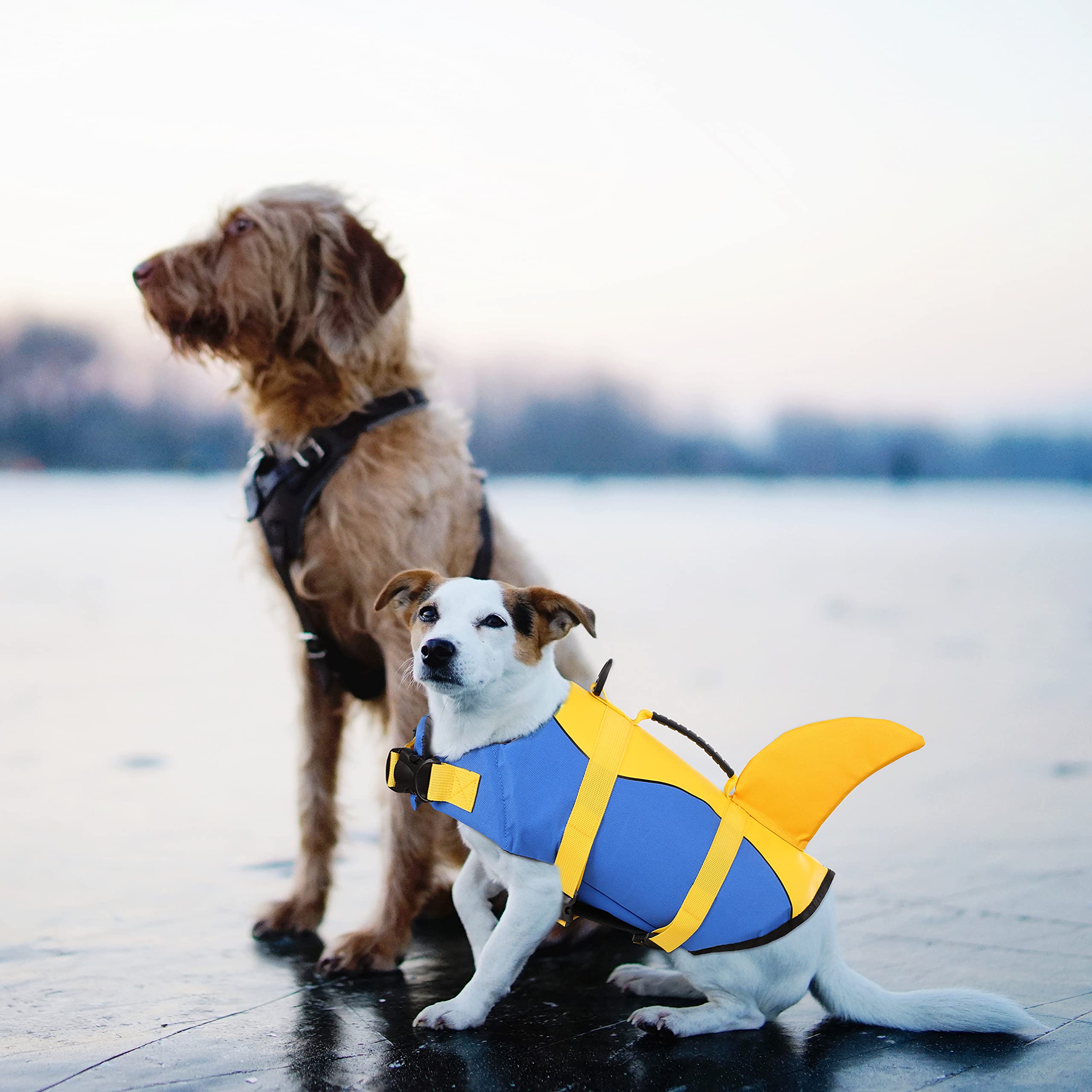 Dog Life Jacket Medium Ezydog Life Jackets For Dogs Queenmore Dog