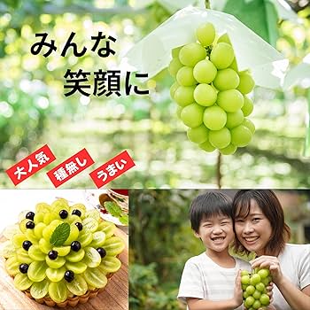 専用2箱クール便 晴王\" シャインマスカット 良品5房 2キロ 岡山県 2025年8月より発送】ご家庭用 岡山県産 シャインマスカット 晴王