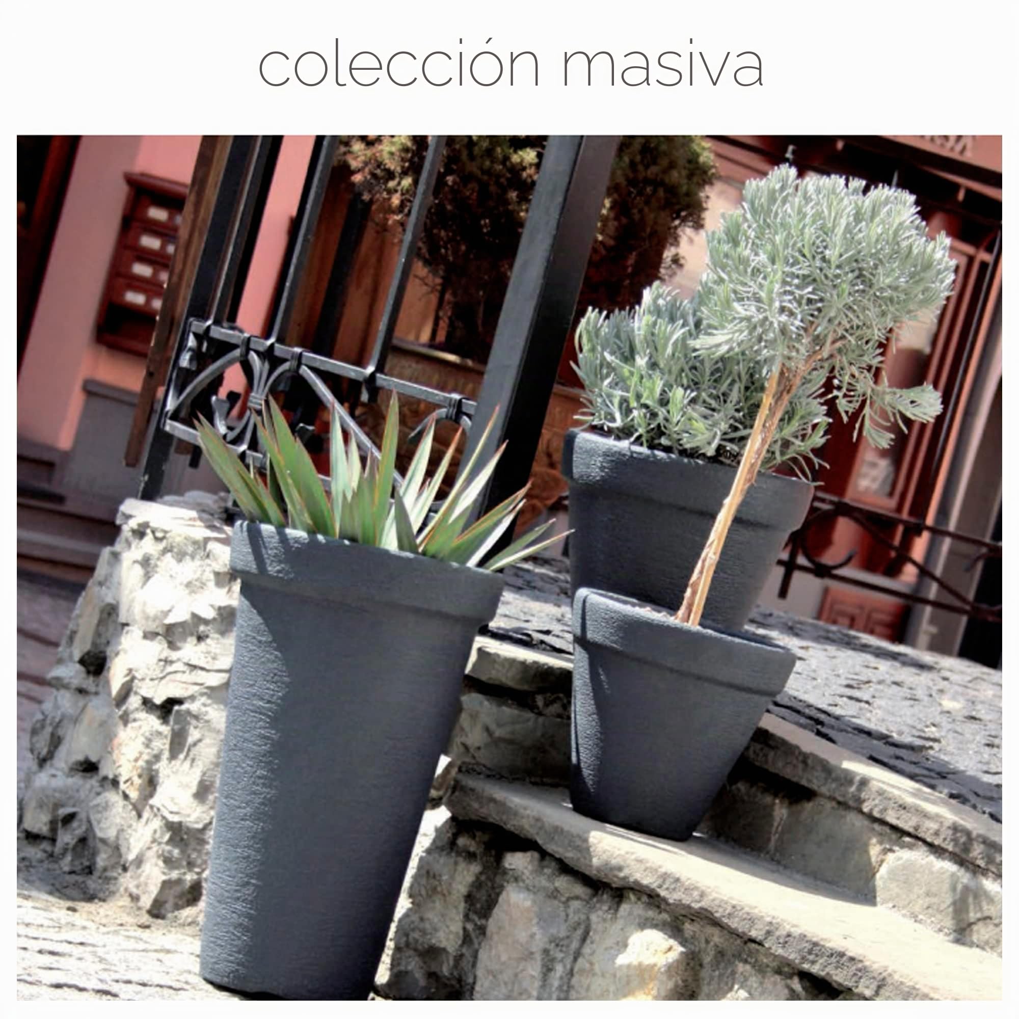 Macetero gigante de 58 litros antracita sólido óptico altura 800 mm jardinera de plástico