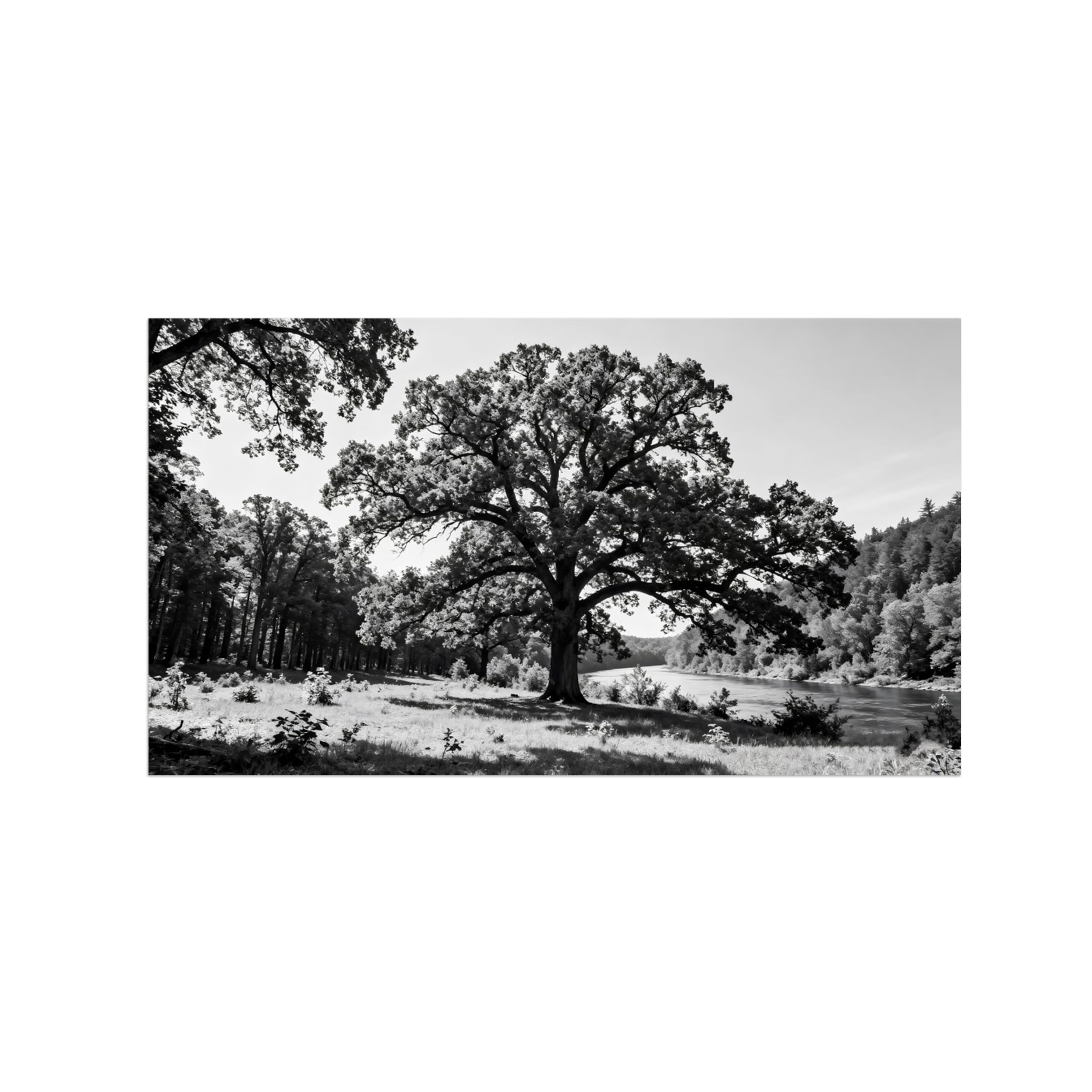 OZPWBVY River Tree Black White Landscape Wall Art Prints 40x70cm Unframed
