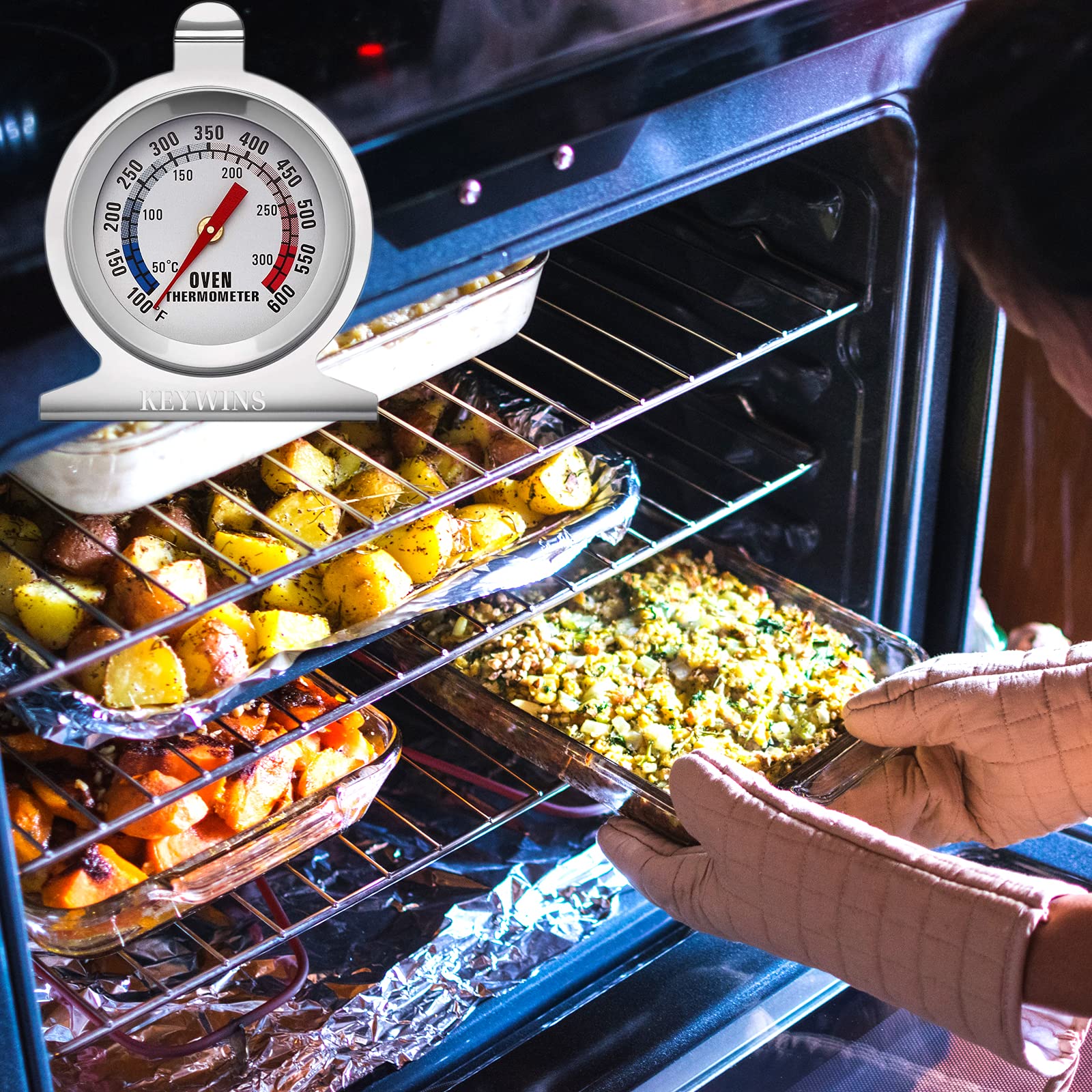 Buy Keywins® Accurate Oven Dial Thermometer, 600 Degree Kitchen Oven thermometer, Oven Meat