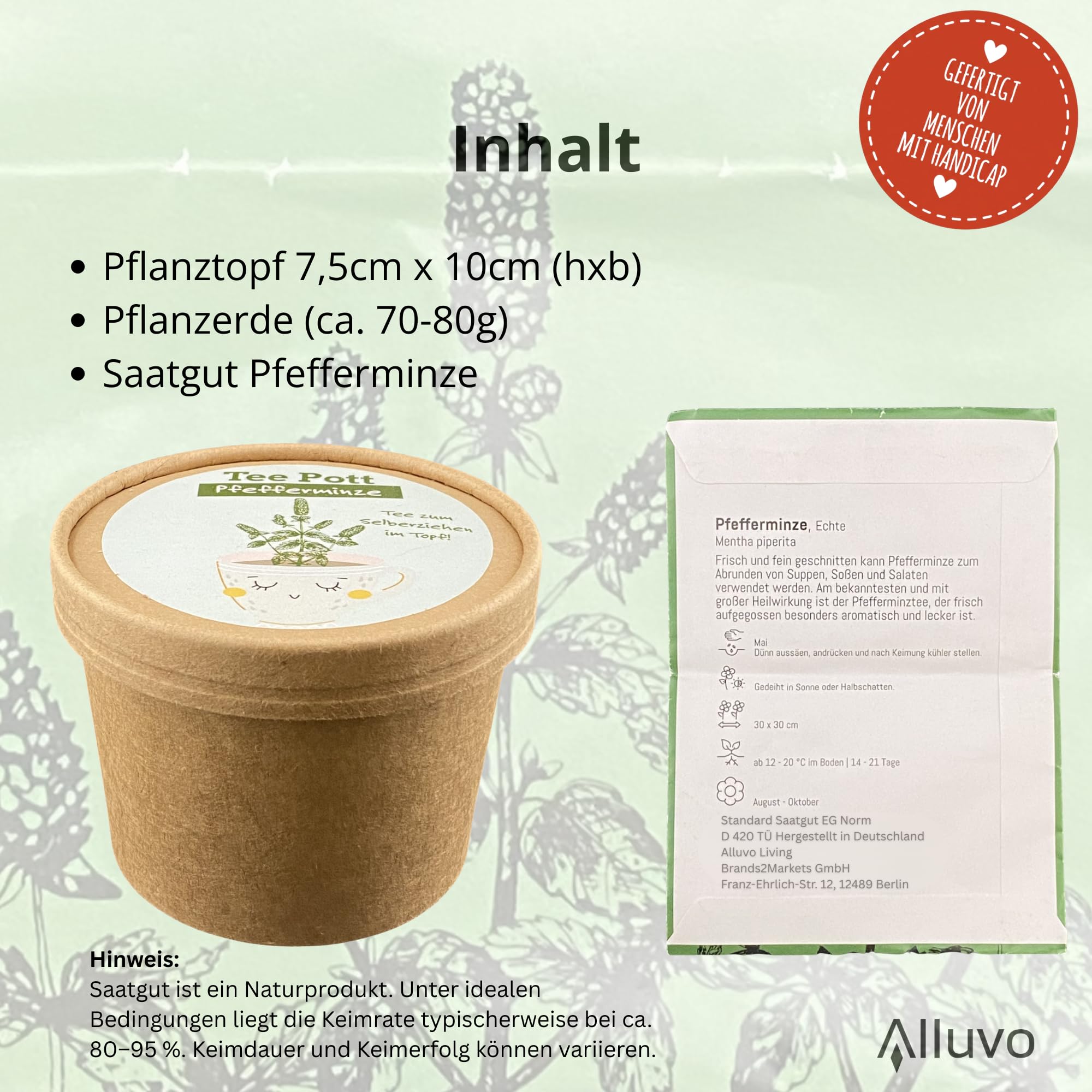 Kit de culture de menthe poivrée avec graines et terre pour rebord de fenêtre