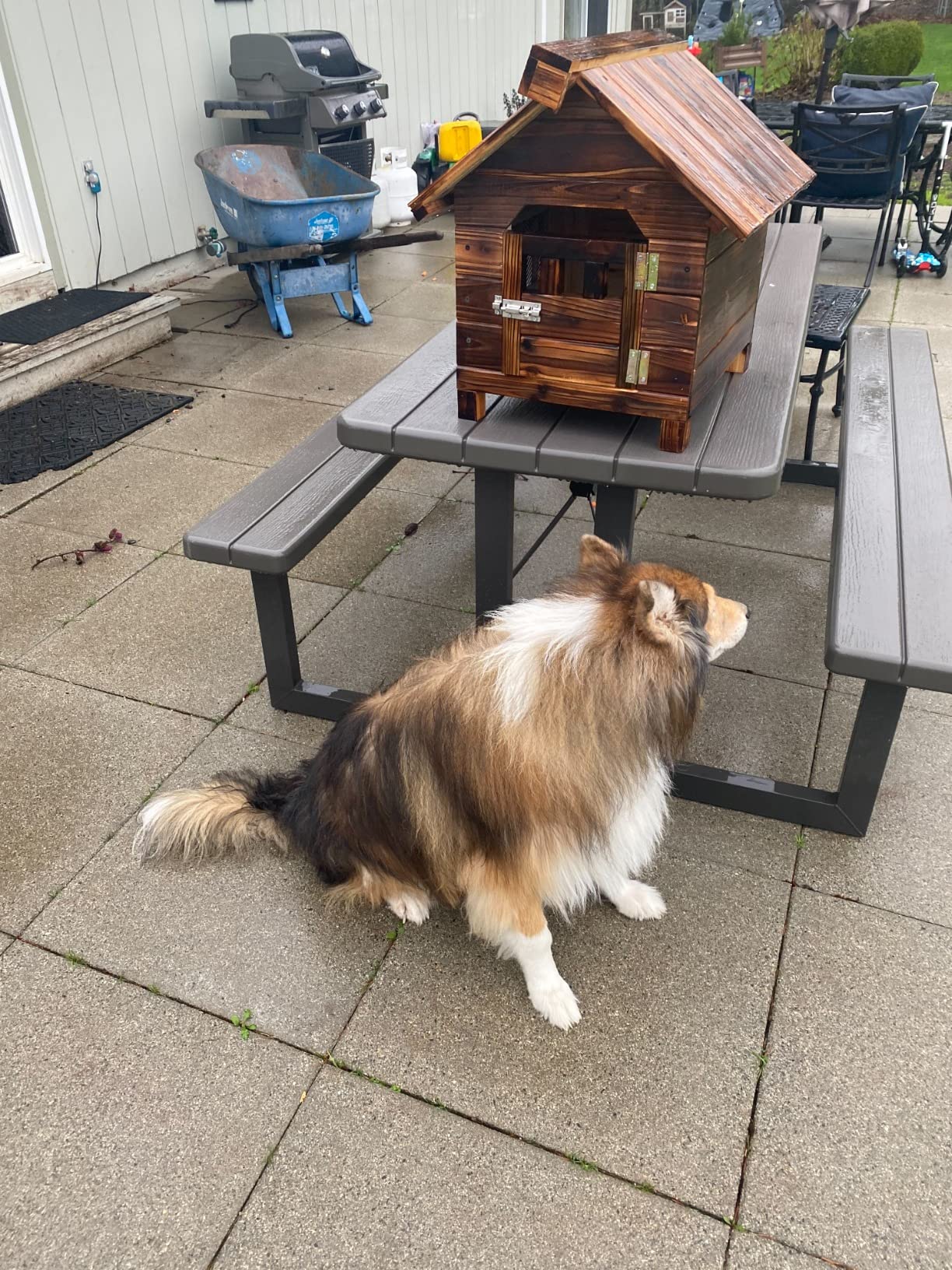 46/mo Finance Dog Kennels for Outside Dog House Wood Outdoor Dog