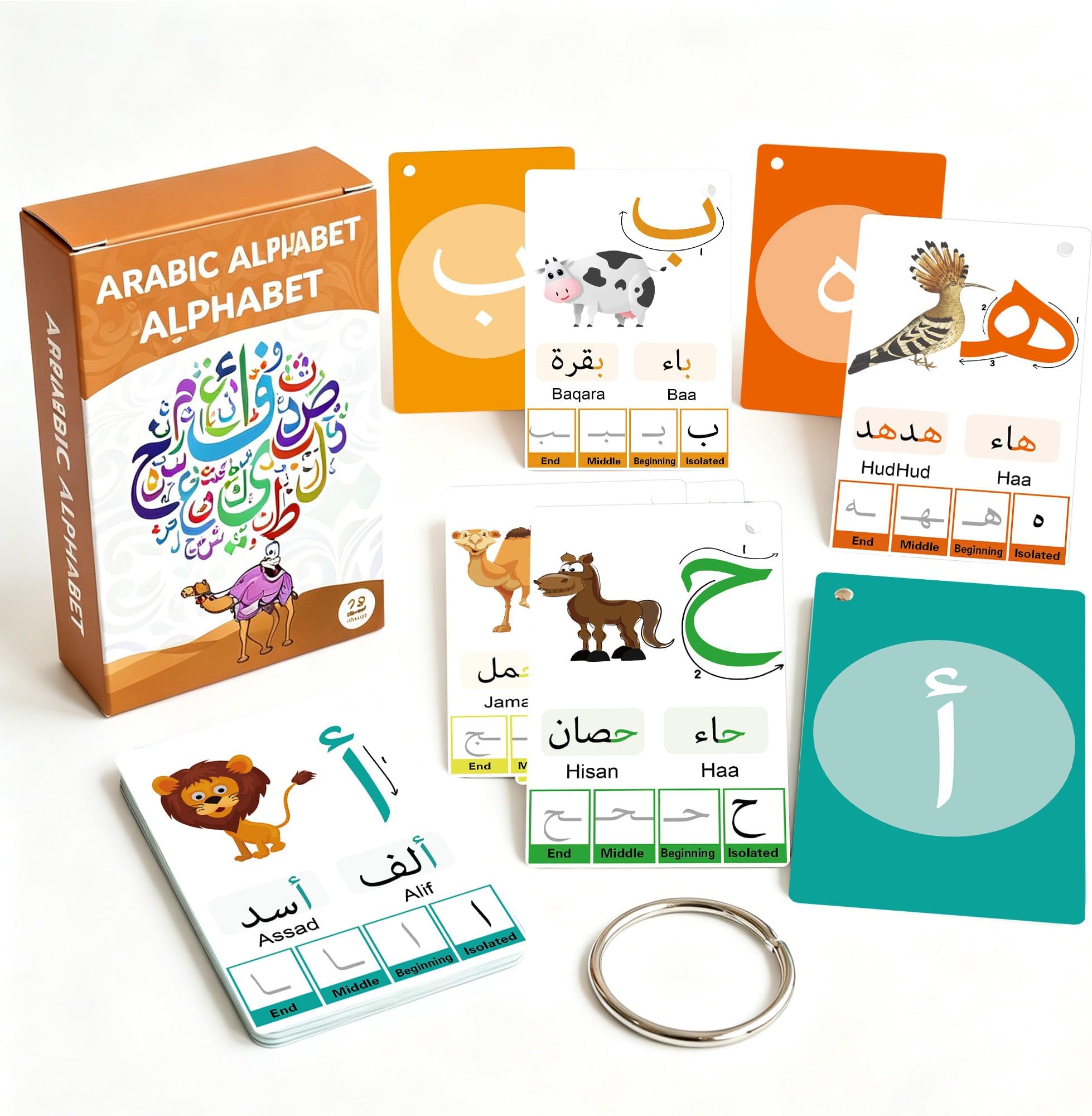 Arabic Flash Cards for Beginners,Learn Arabic Alphabet for Kids, Teens and Adults