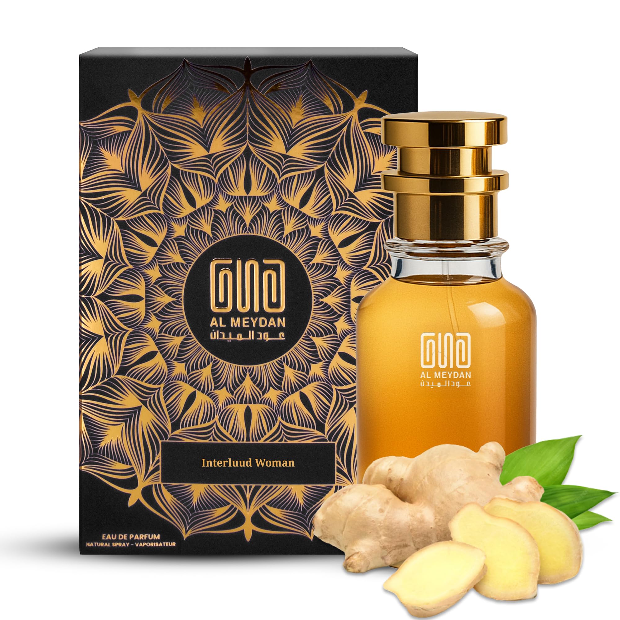 Oil Based Perfume for Women – Impression of Interluud Woman – Alcohol-Free Amber & Spicy Perfume Oil with Leather, Incense, Sandalwood & Vanilla – Long Lasting 8–10 Hours (100 ML)